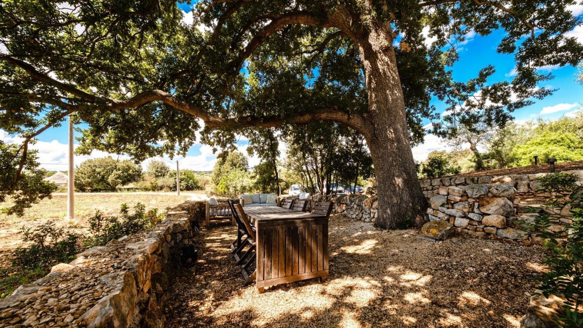 Photo 32