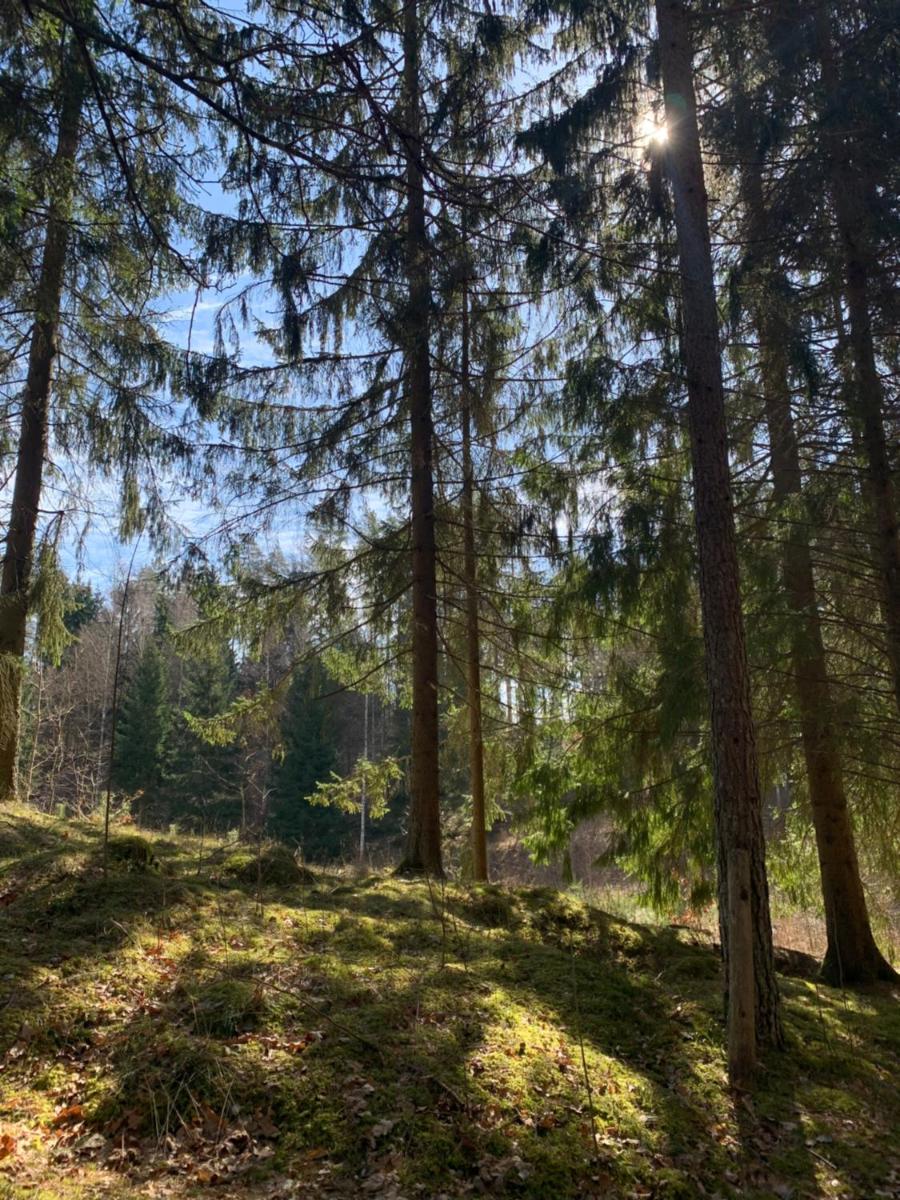 Photo 36