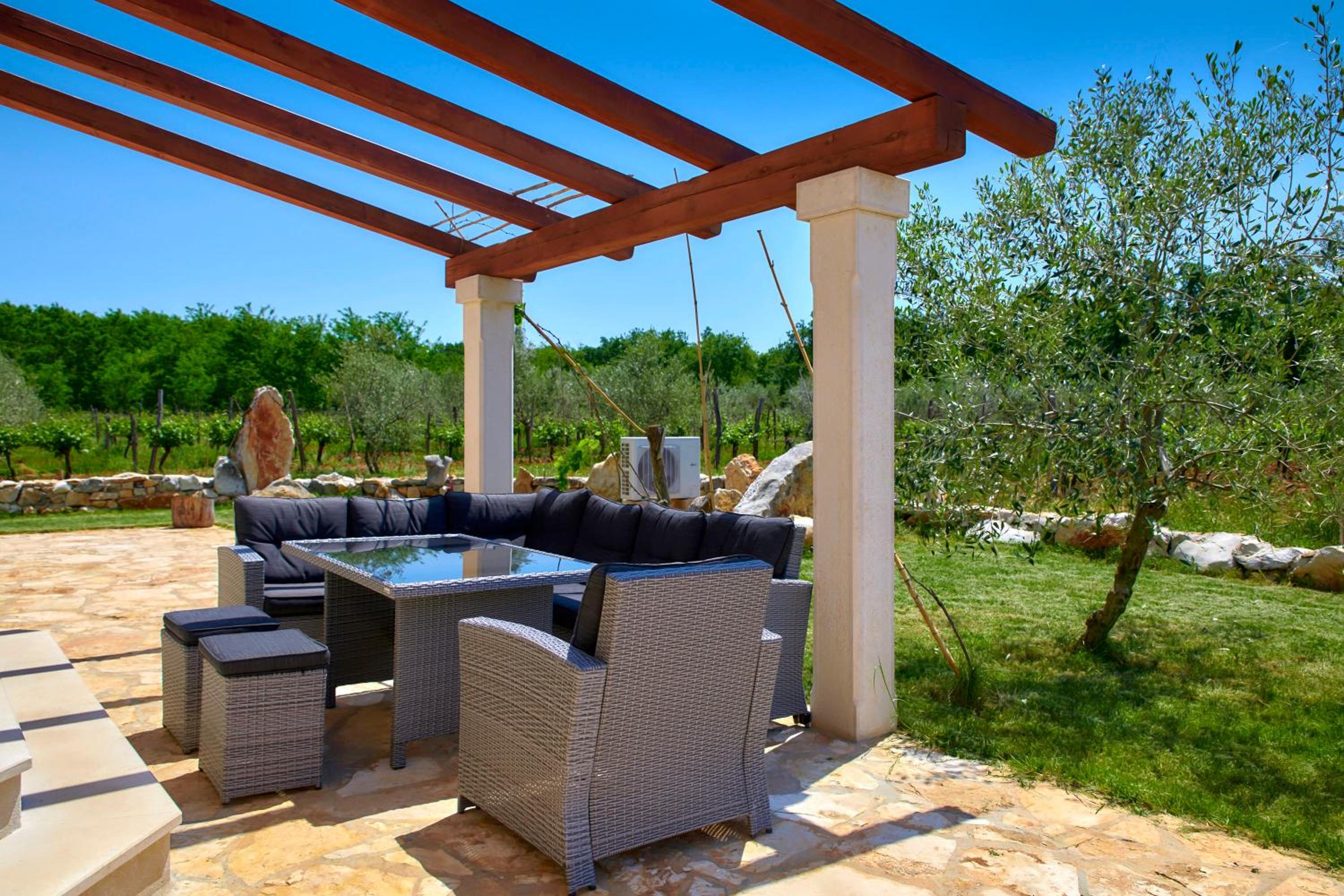 Relax house surrounded by olives and vineyard view 2
