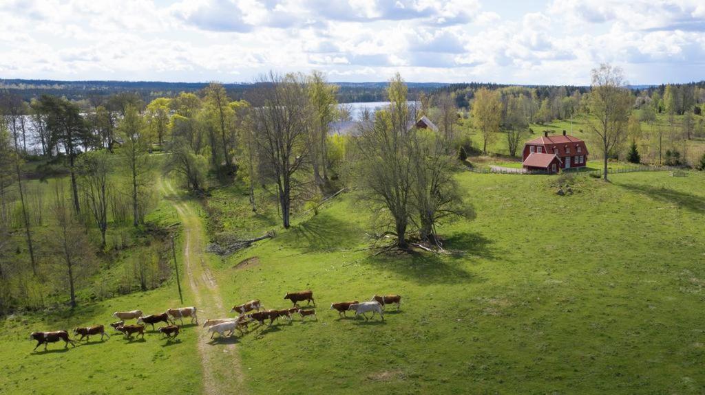 Villa Näs - a modern country villa view 2
