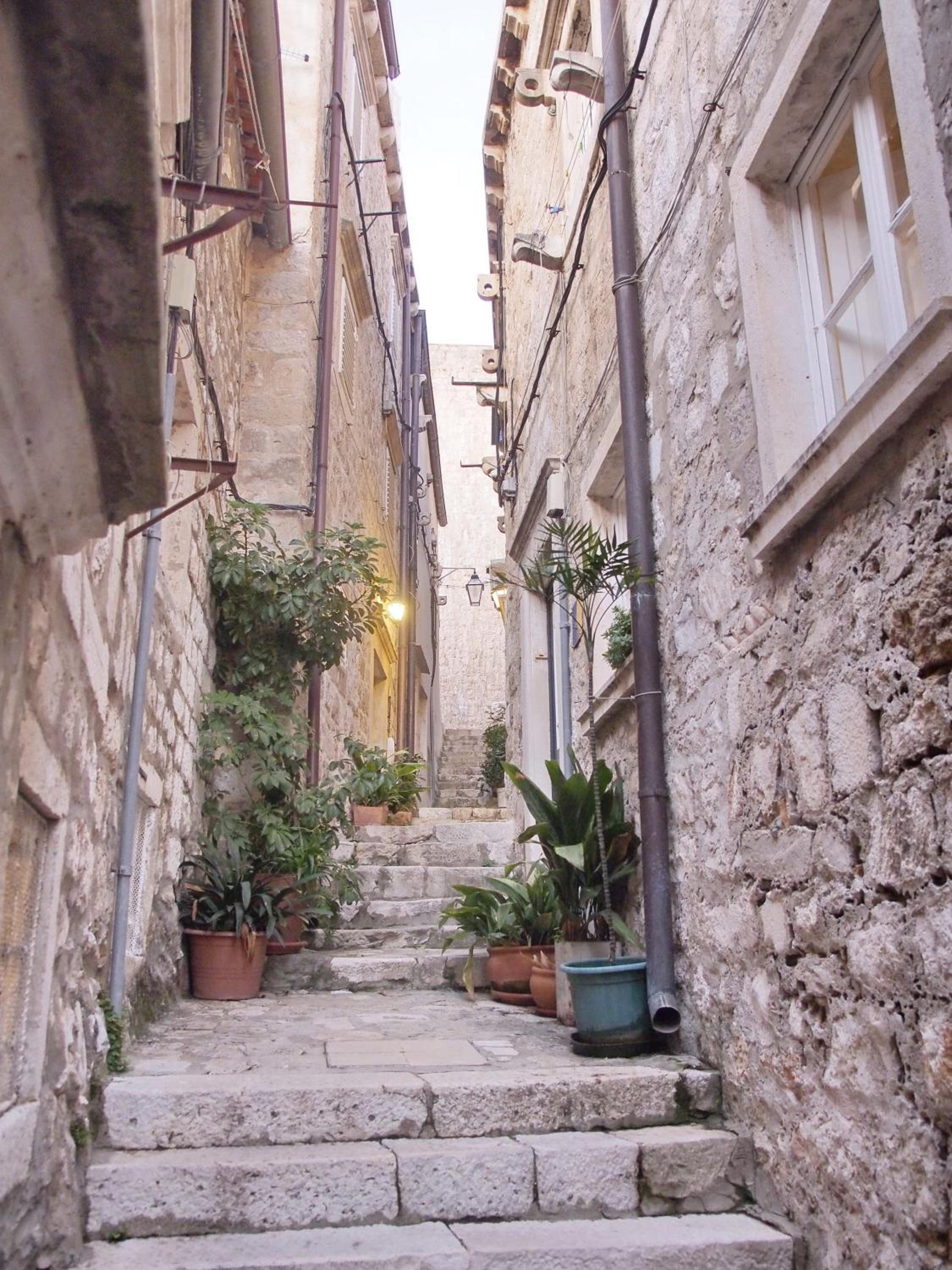 La Vita e Bella III