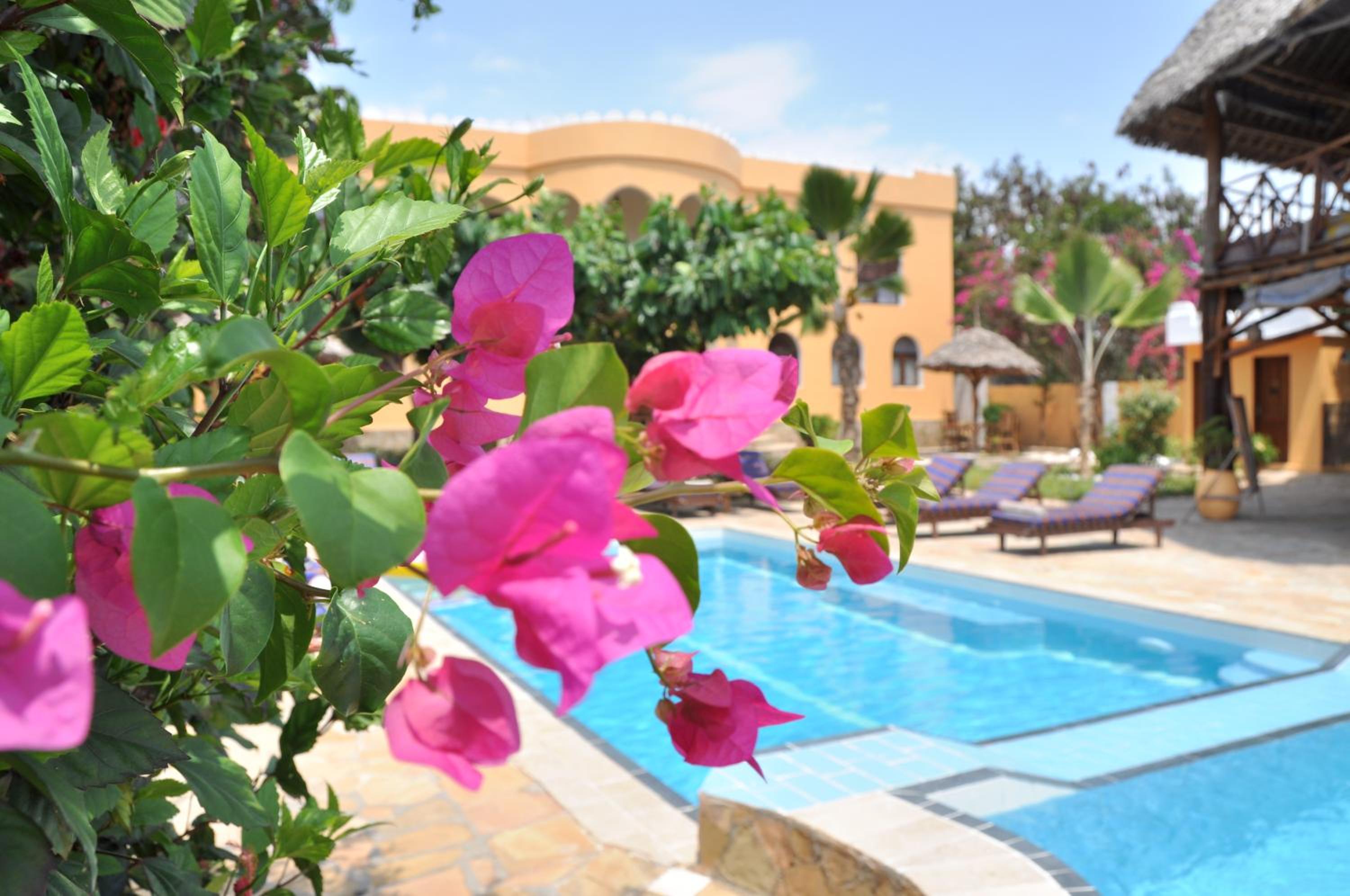 Kiwengwa Vacations - Zan View Hotel - Property Image 3