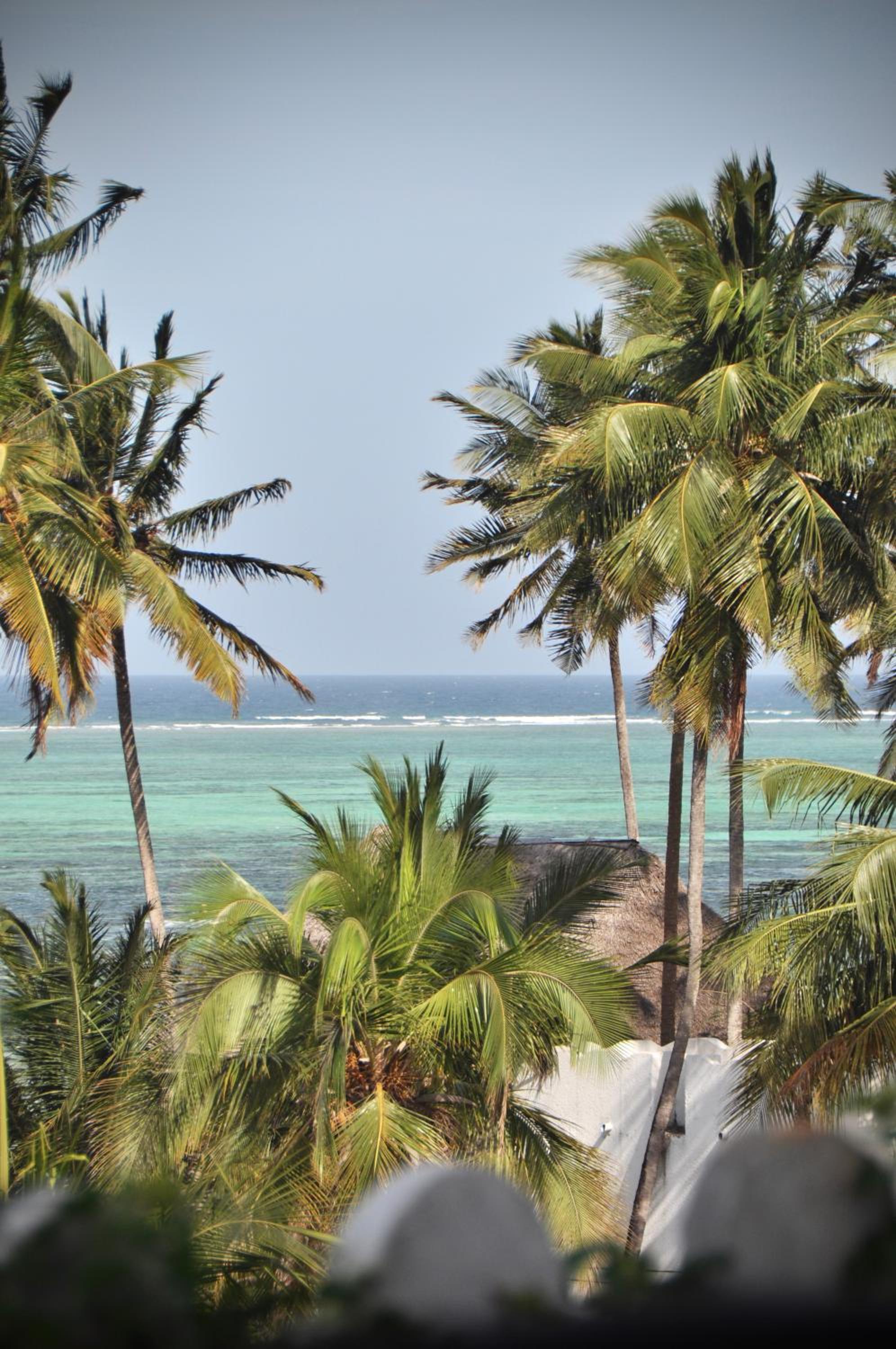 Kiwengwa Vacations - Zan View Hotel - Property Image 43