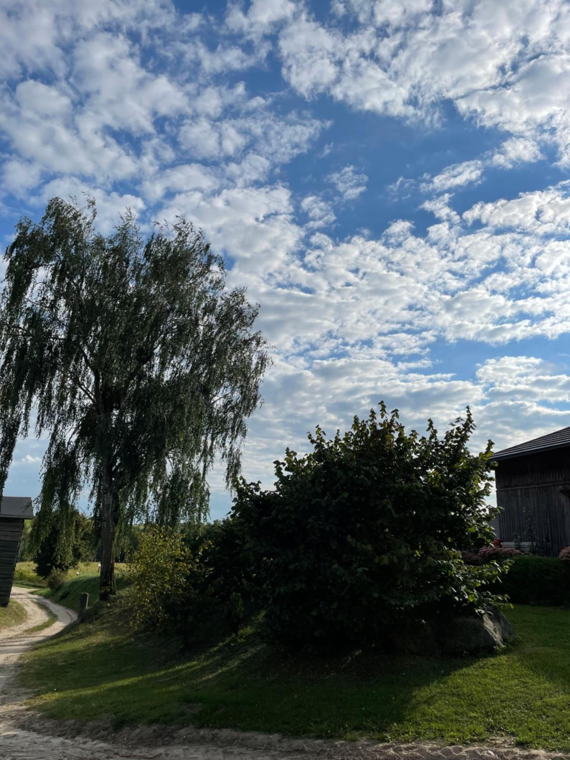 AgroGłęboczek Karbowski Waldemar view 3