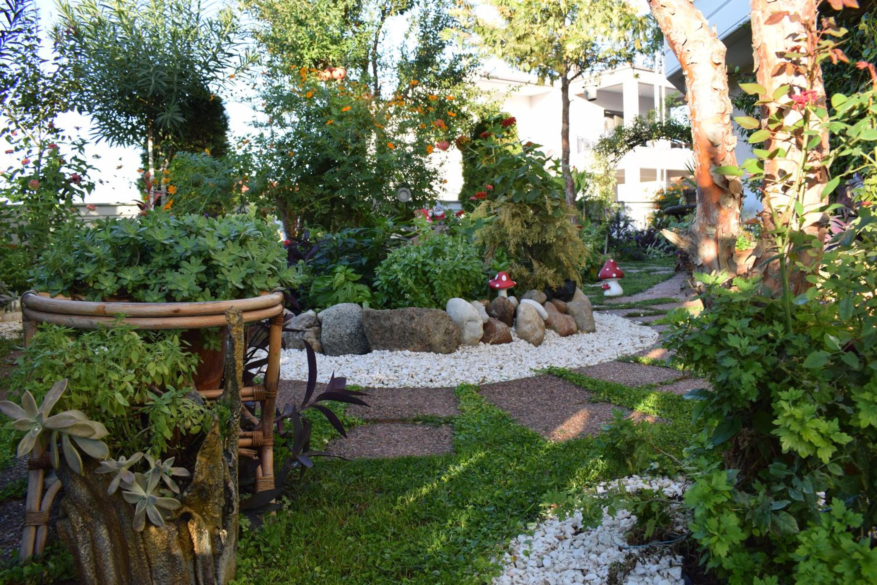 Five stars in Trikala view 5