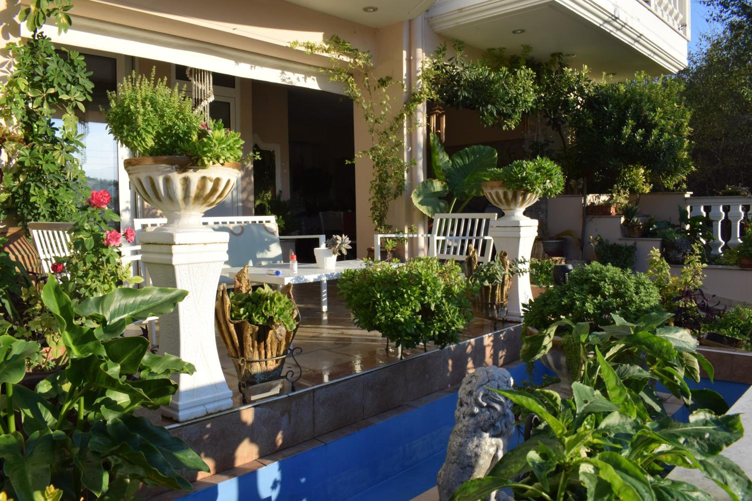 Five stars in Trikala view 4