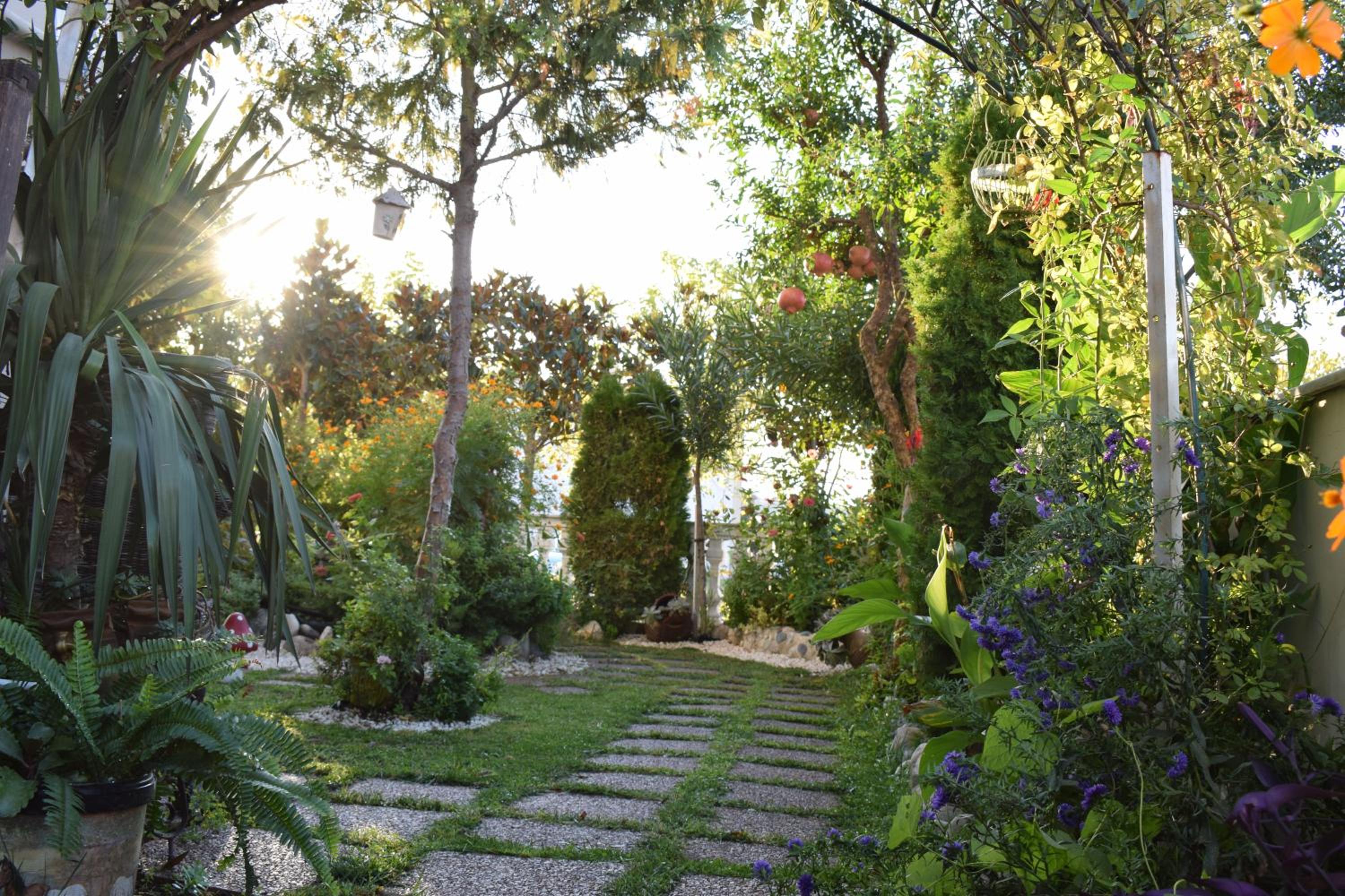 Five stars in Trikala view 3