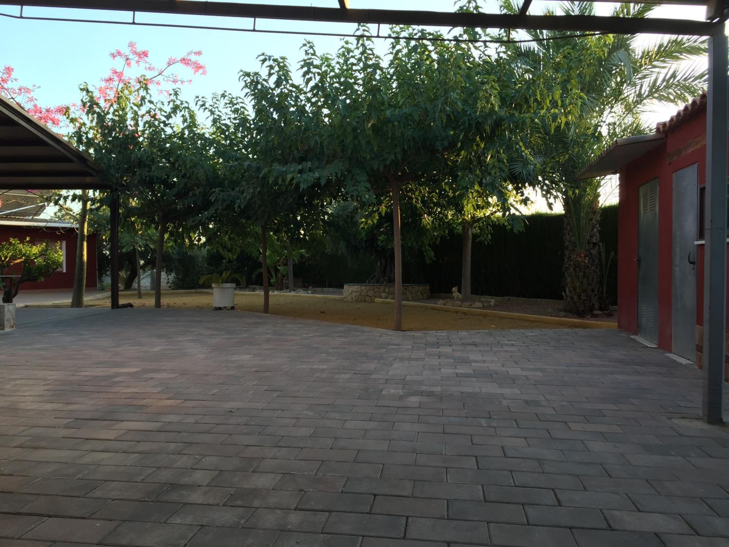 Photo 9
