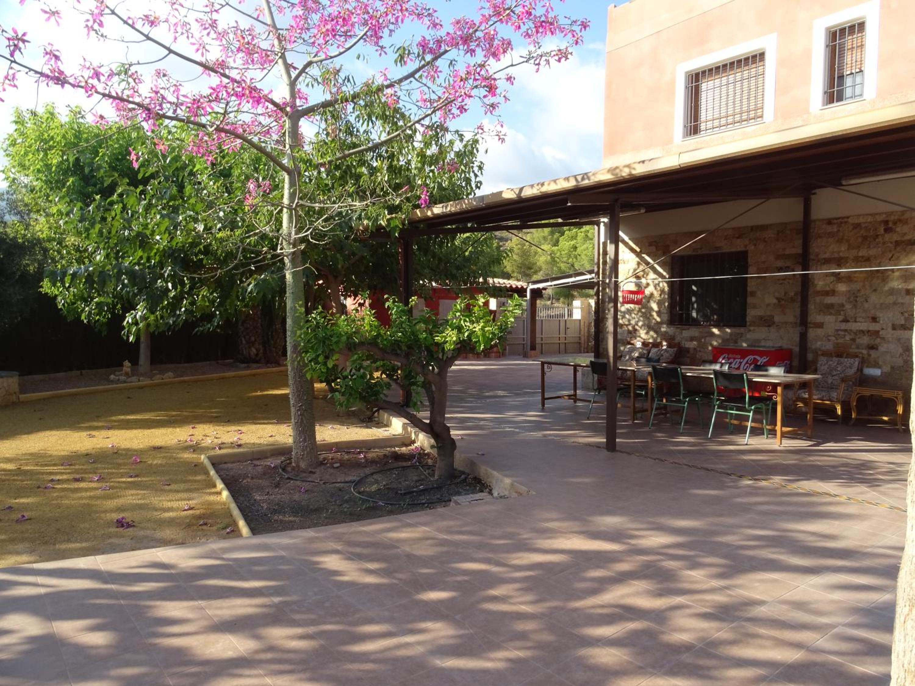 Photo 16