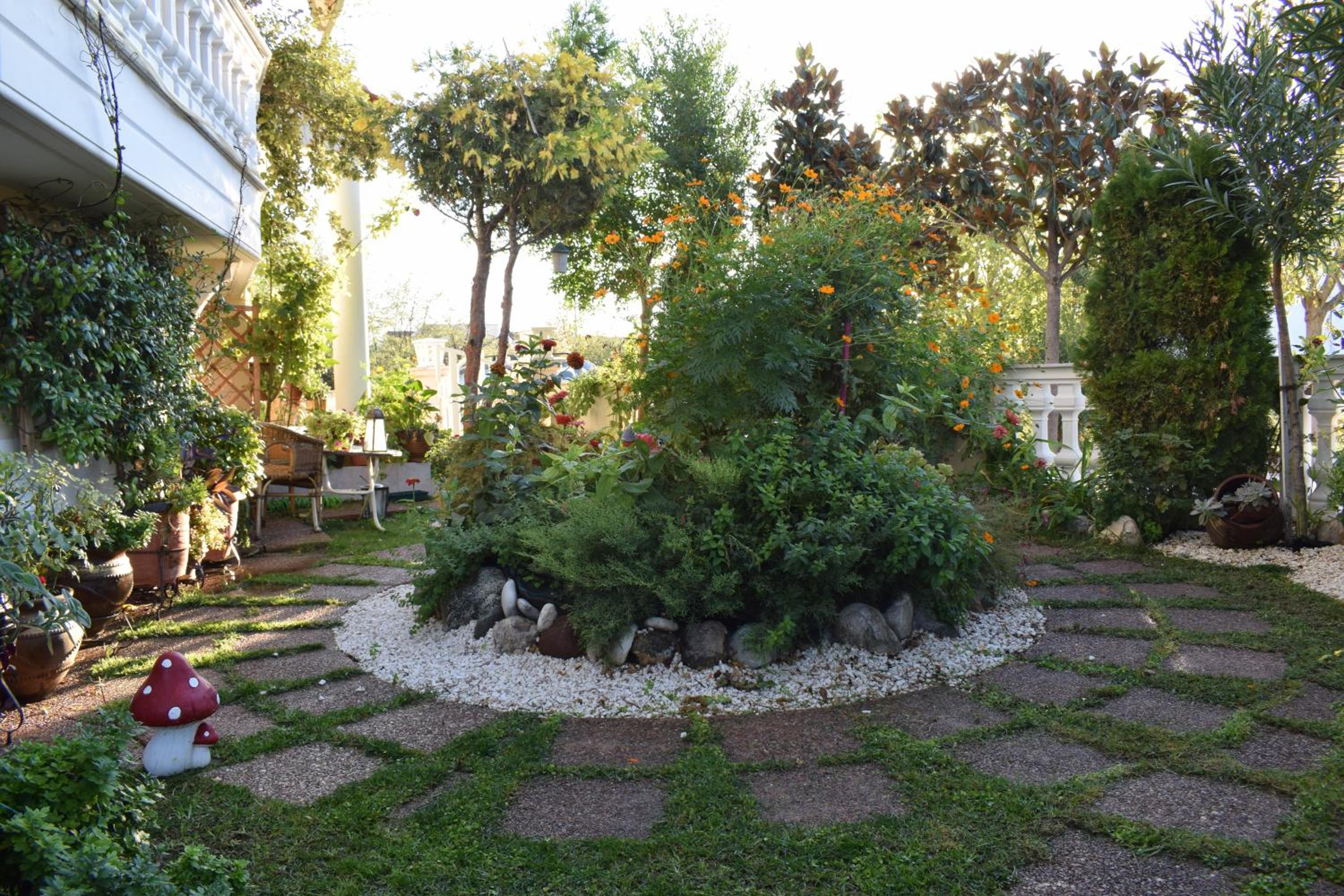 Photo 7