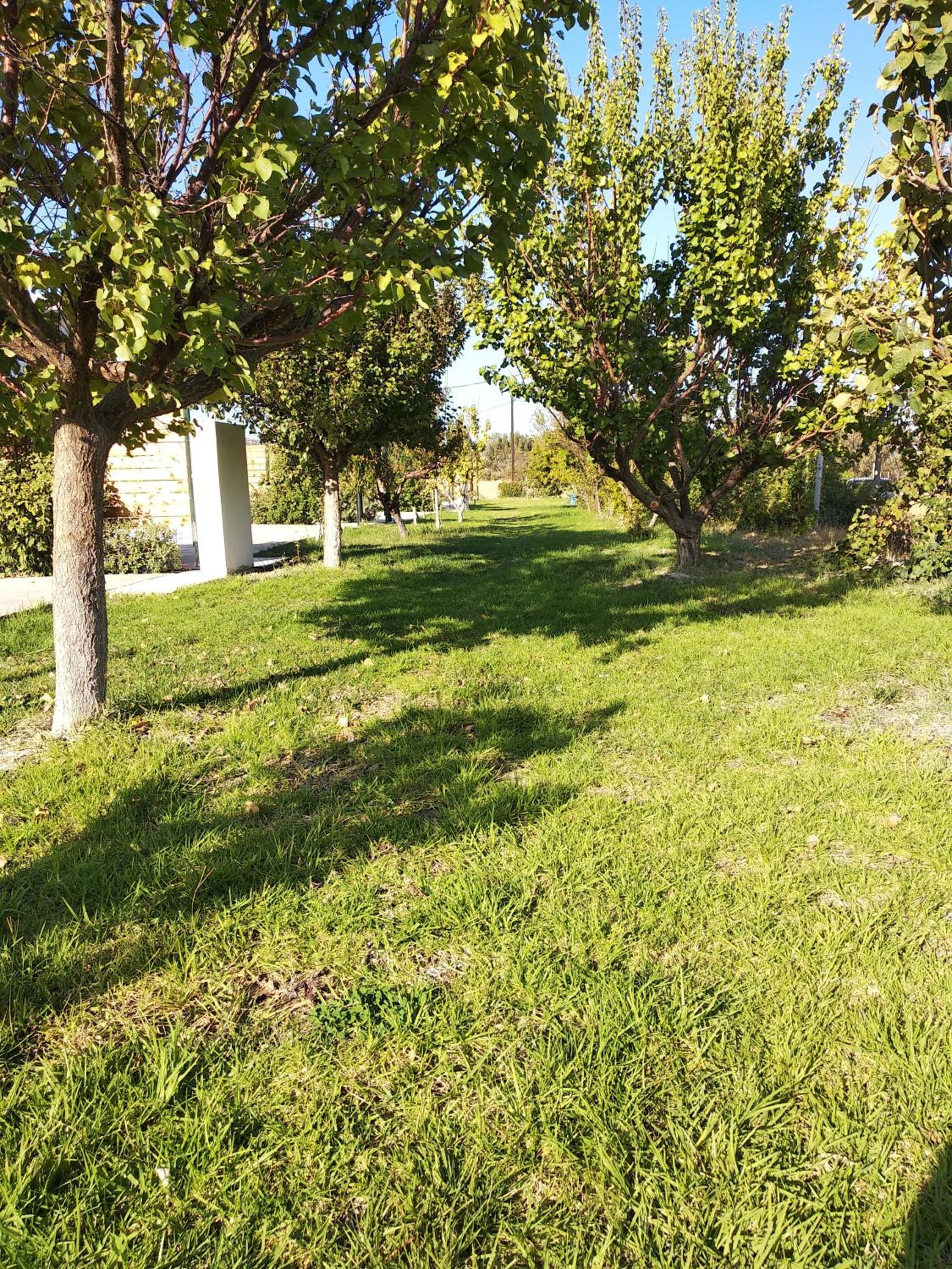 Photo 42