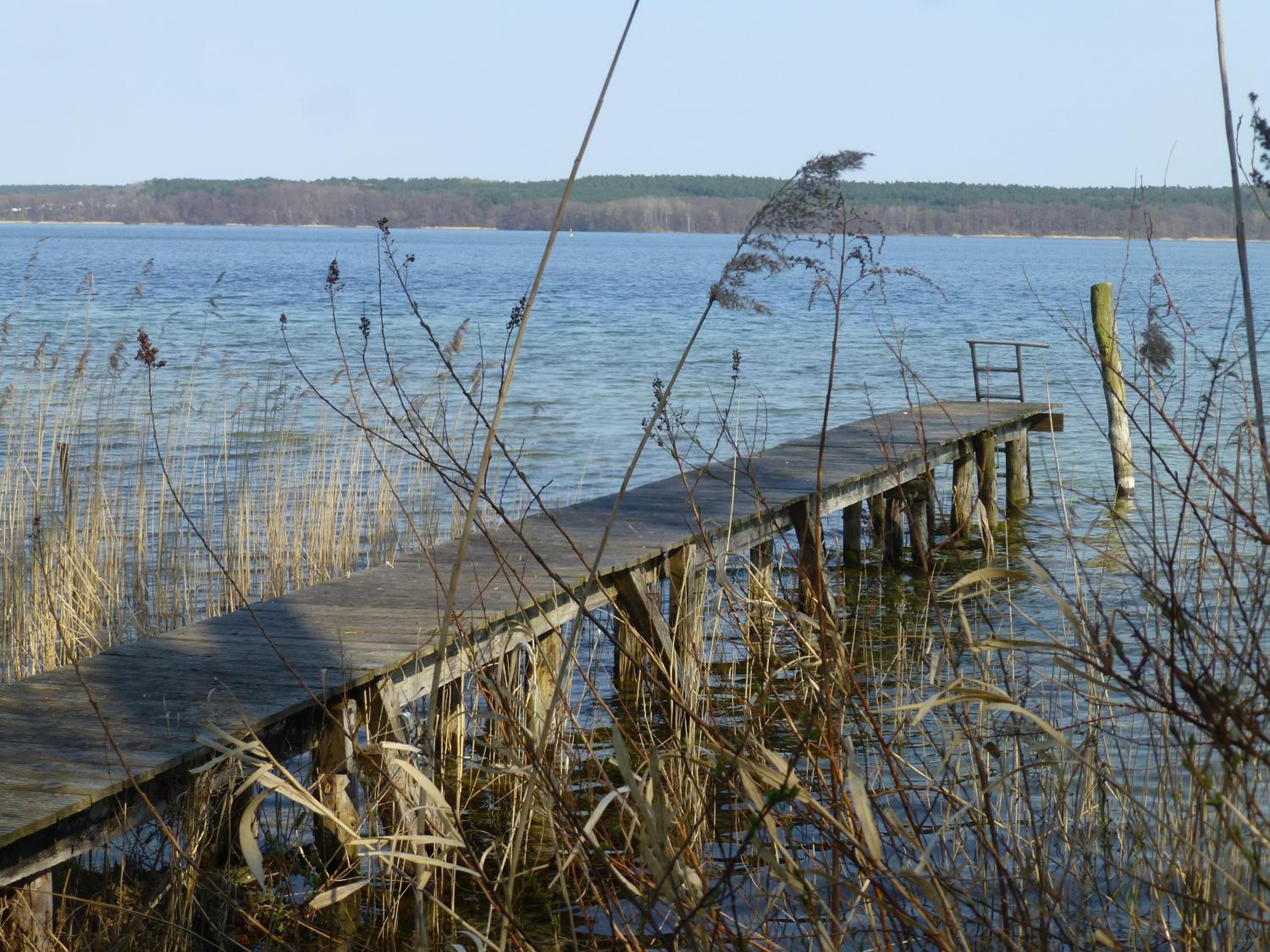 Photo 42