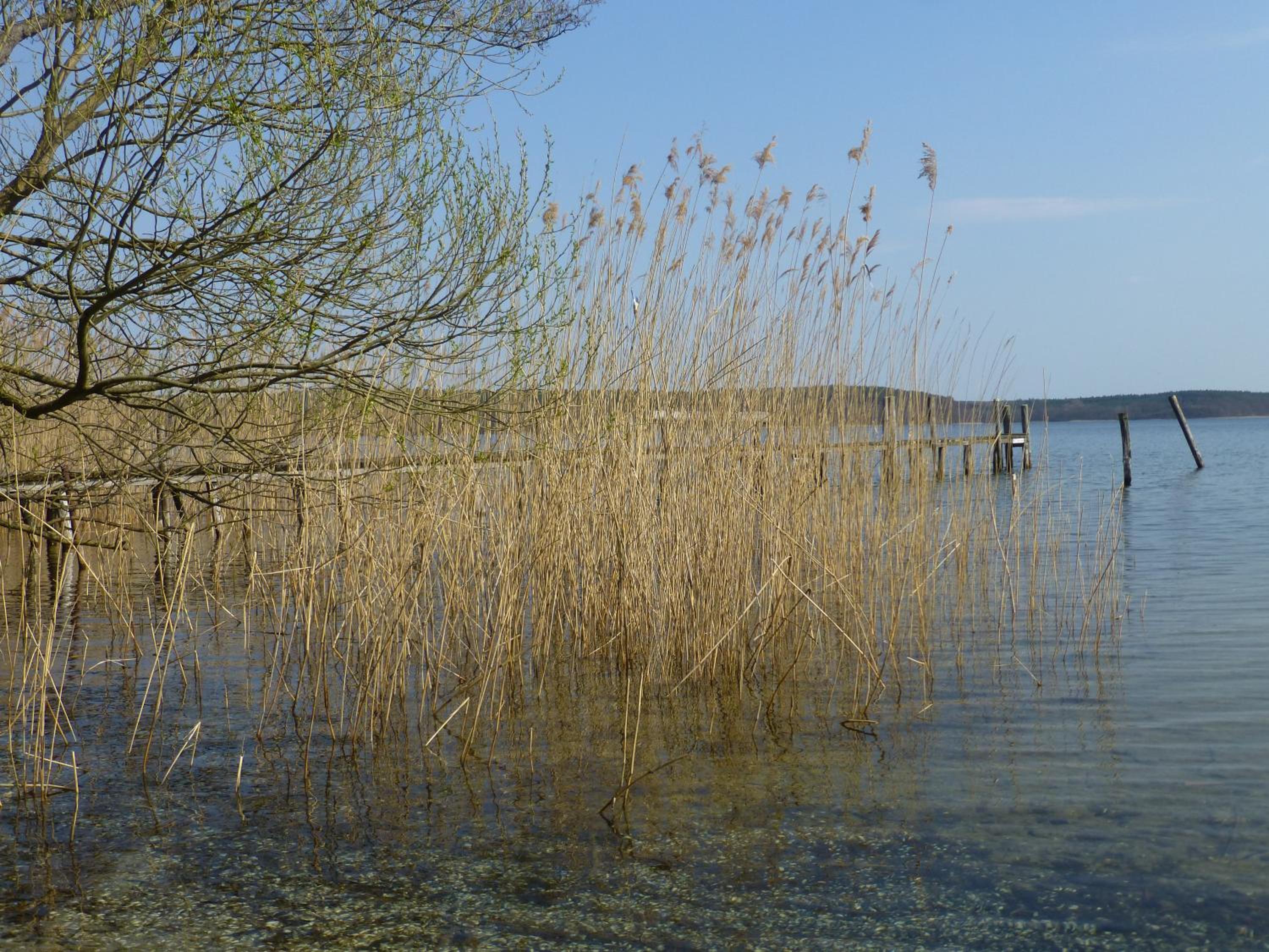Photo 26