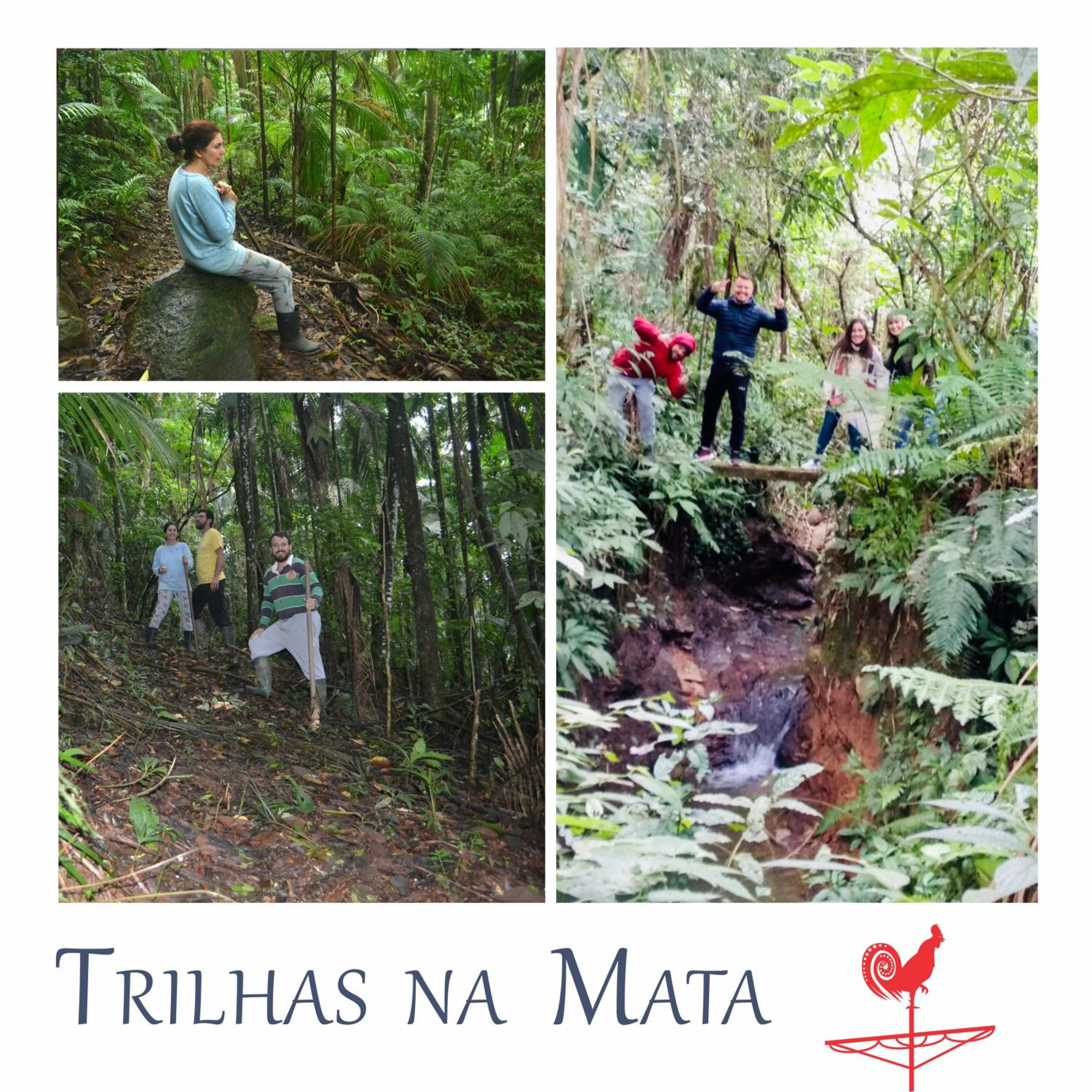 Quinta da Gavea - Hospedaria e Quintal Criativo