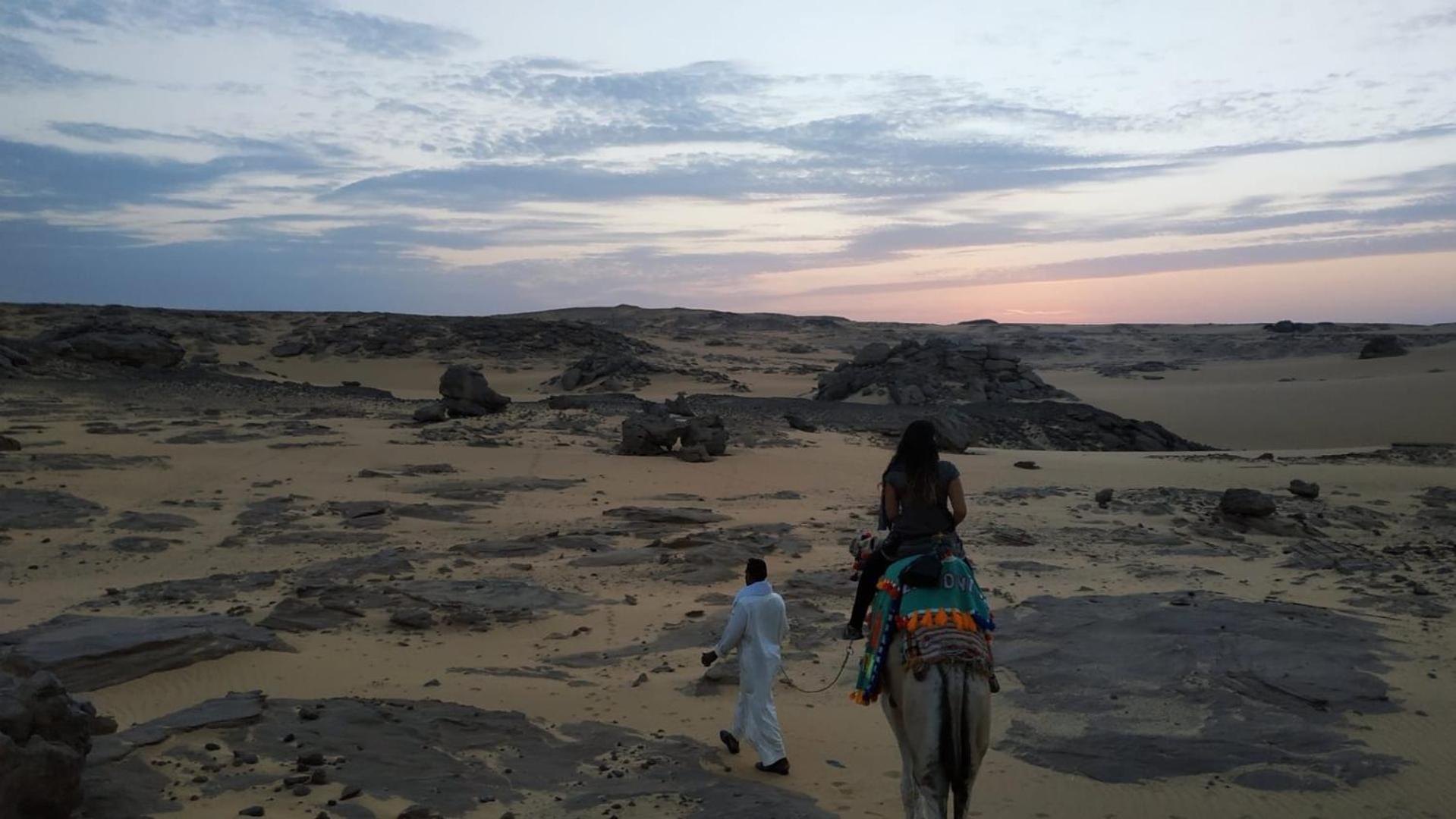 Habibi Nubian Guest House-Nubian Hospitality