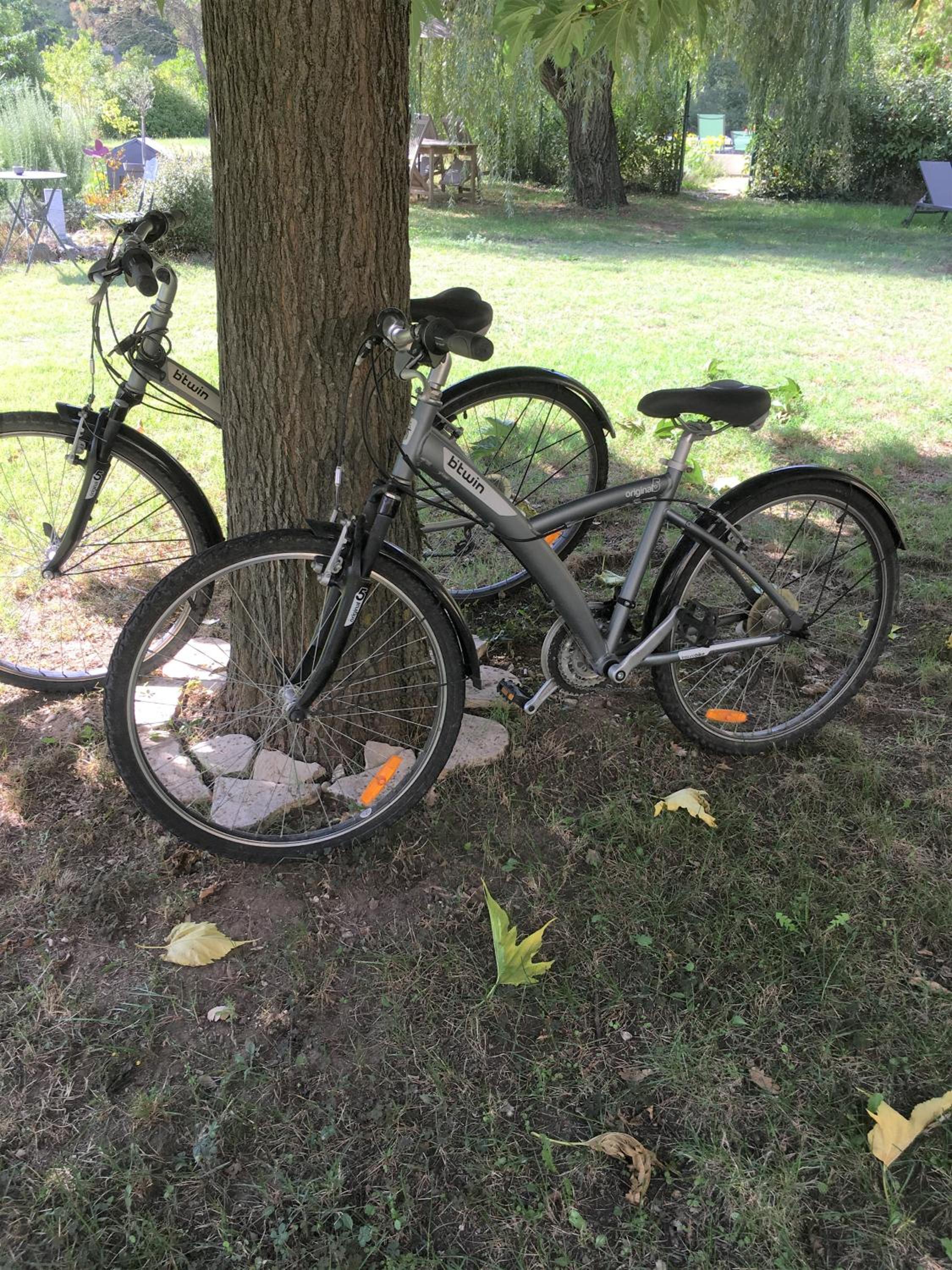 Photo 19