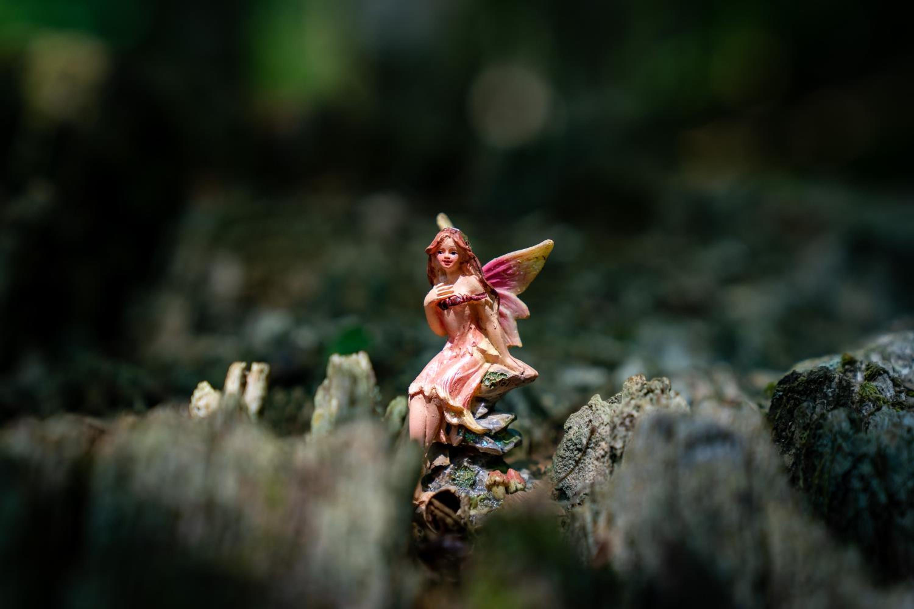 Photo 41