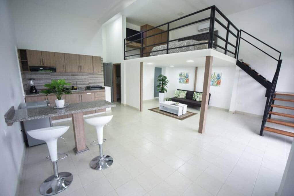 (305) Loft Duplex en Granada view 2