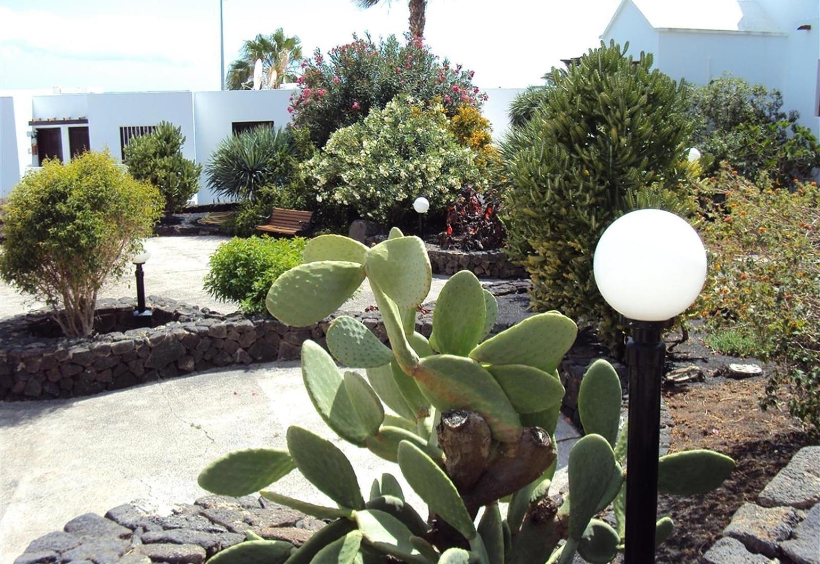 Las Tabaibas photo 3