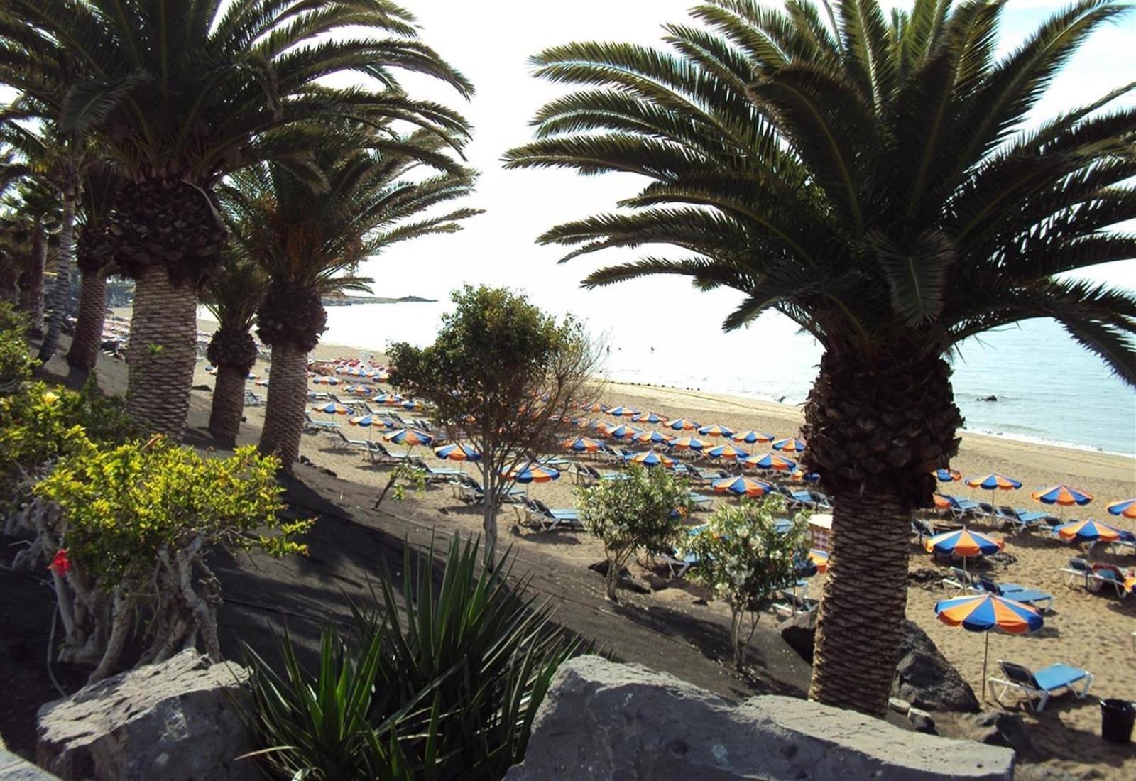 Las Tabaibas photo 5