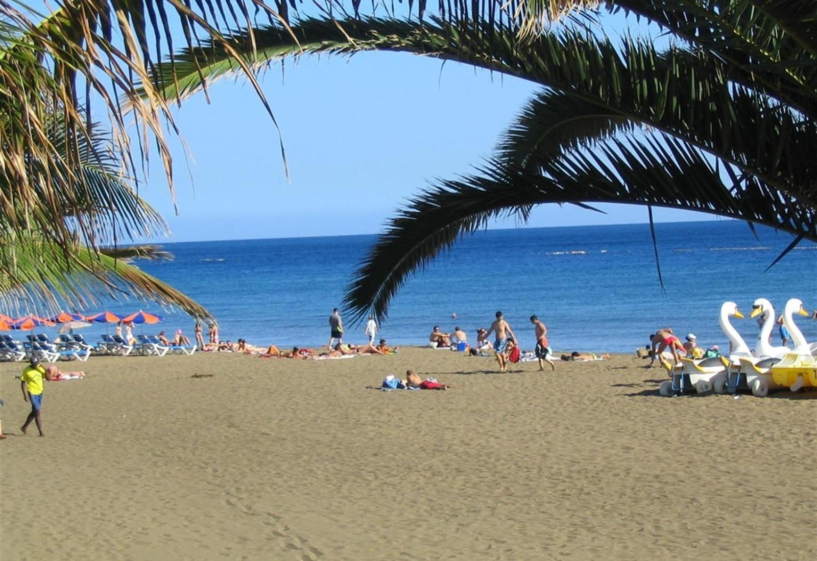 Las Tabaibas photo 4