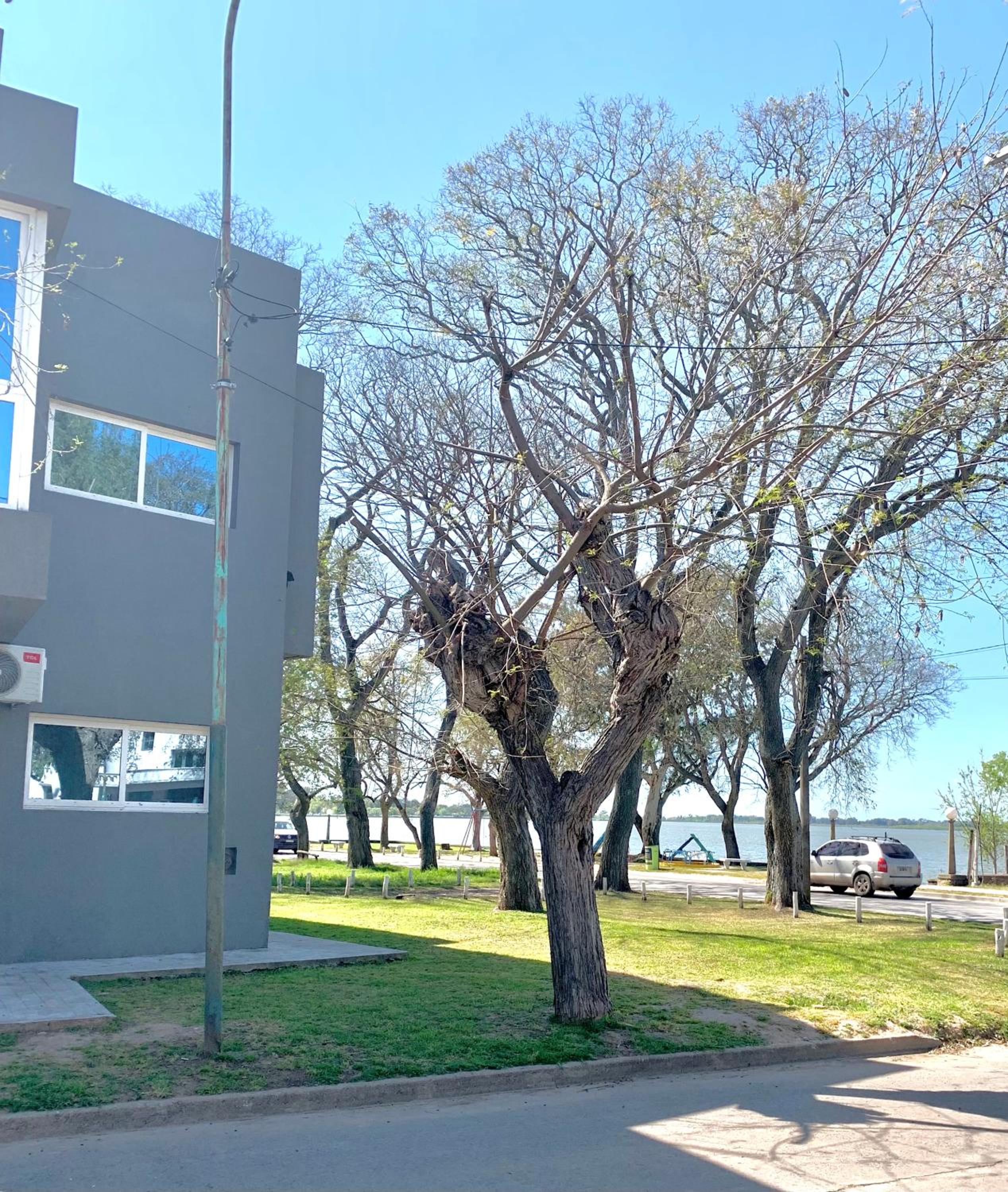 Espectacular departamento sobre la laguna para parejas