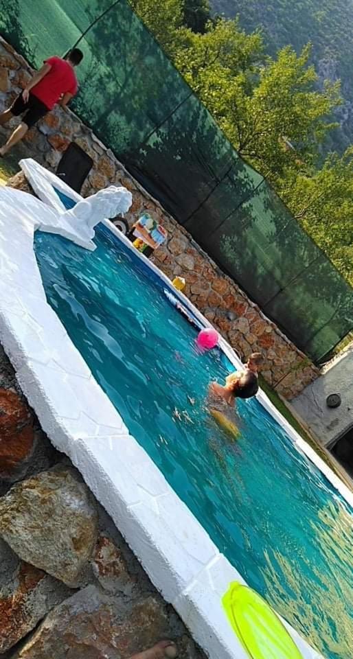 Pansion Renata