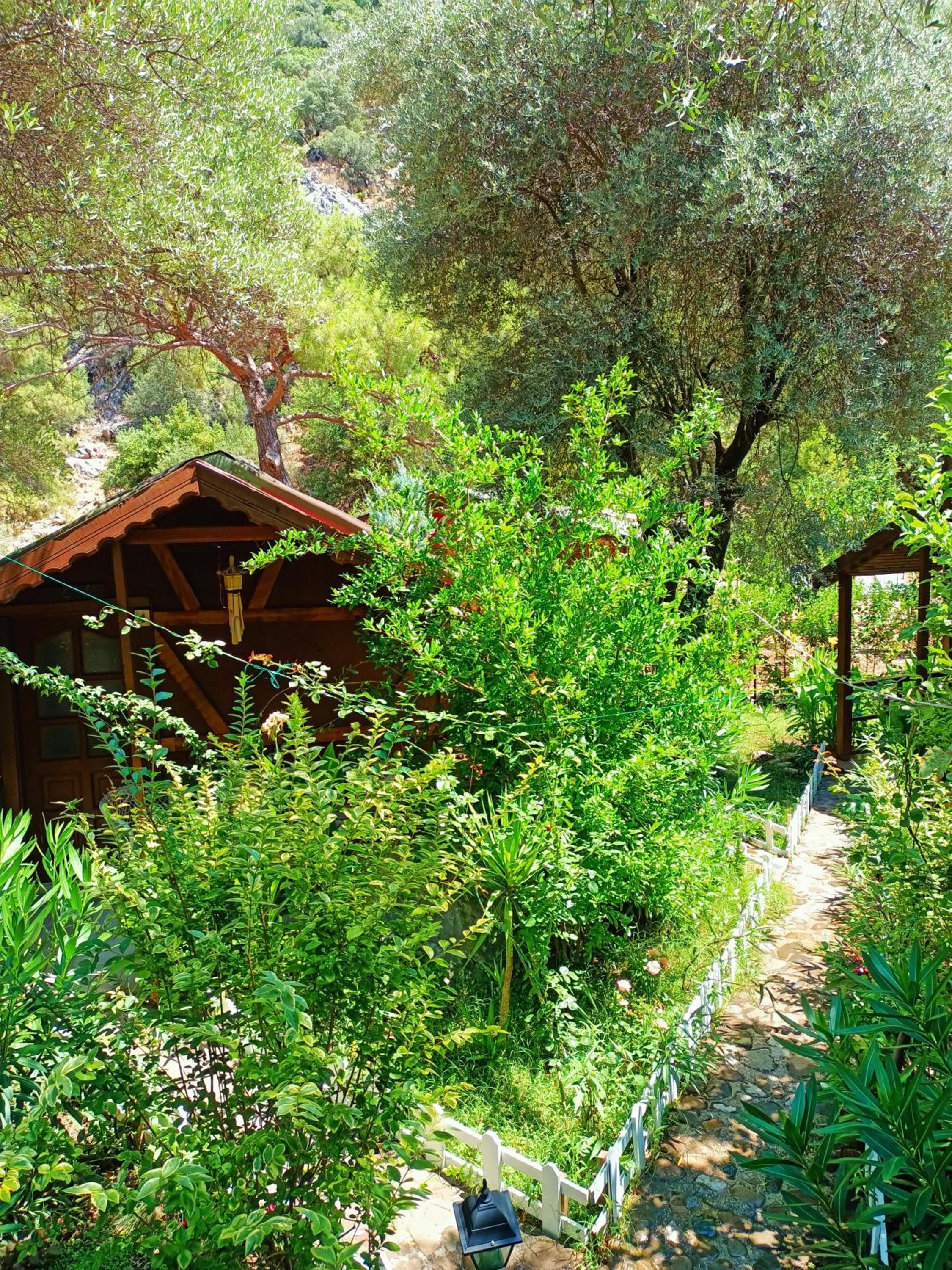 Canario Bungalows