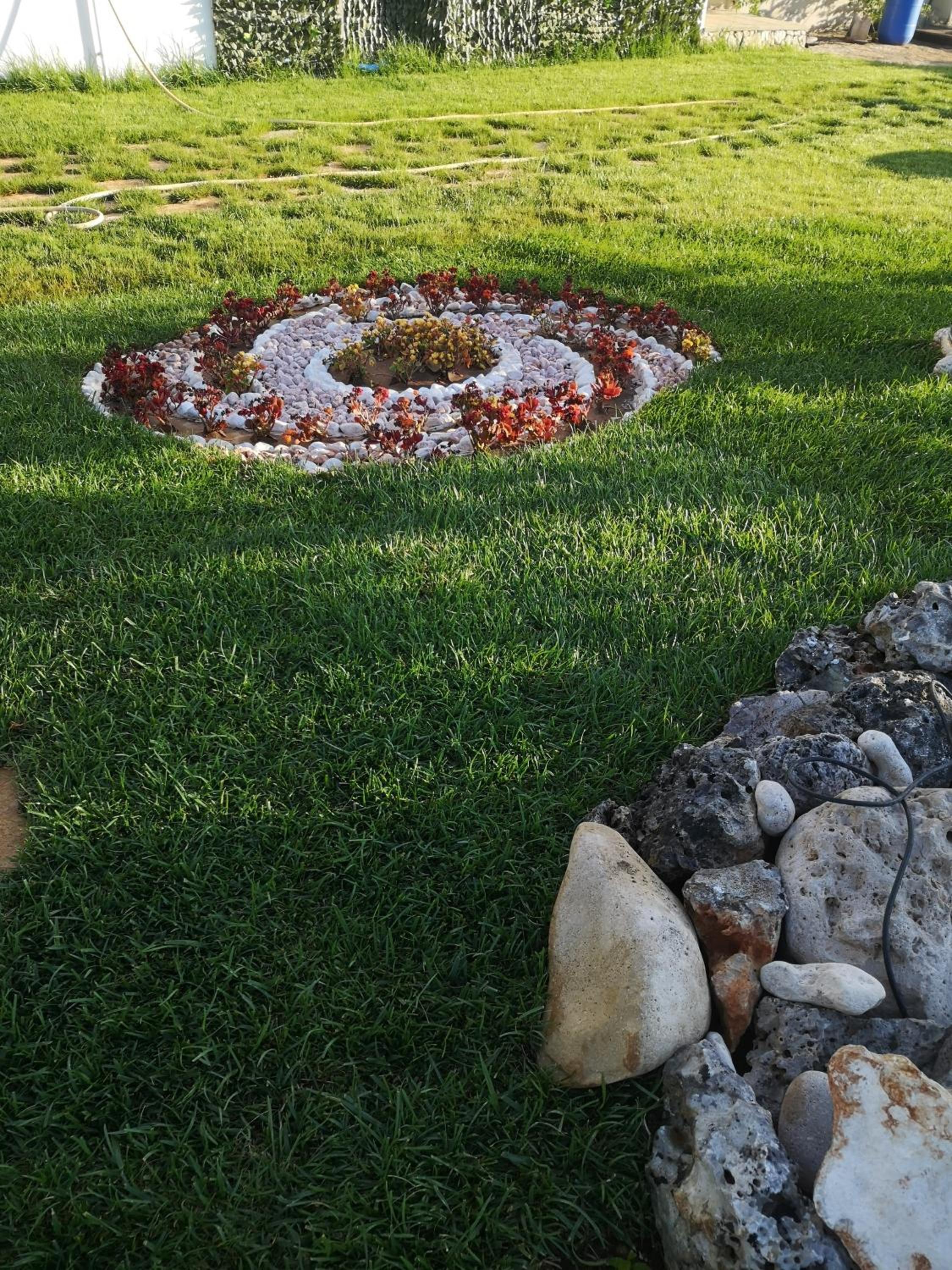 Aura Solis B&B