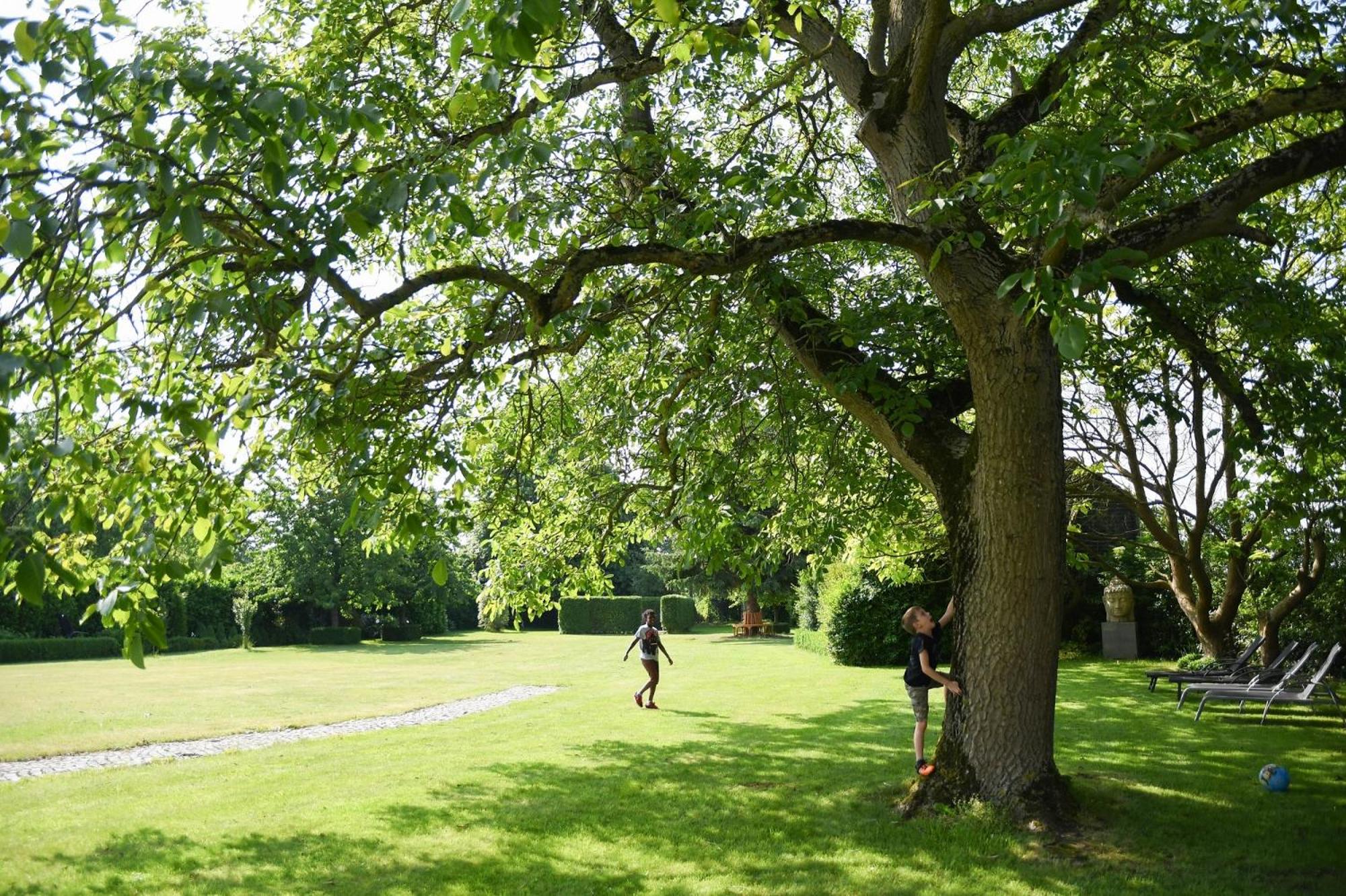 Het Hemelsveld