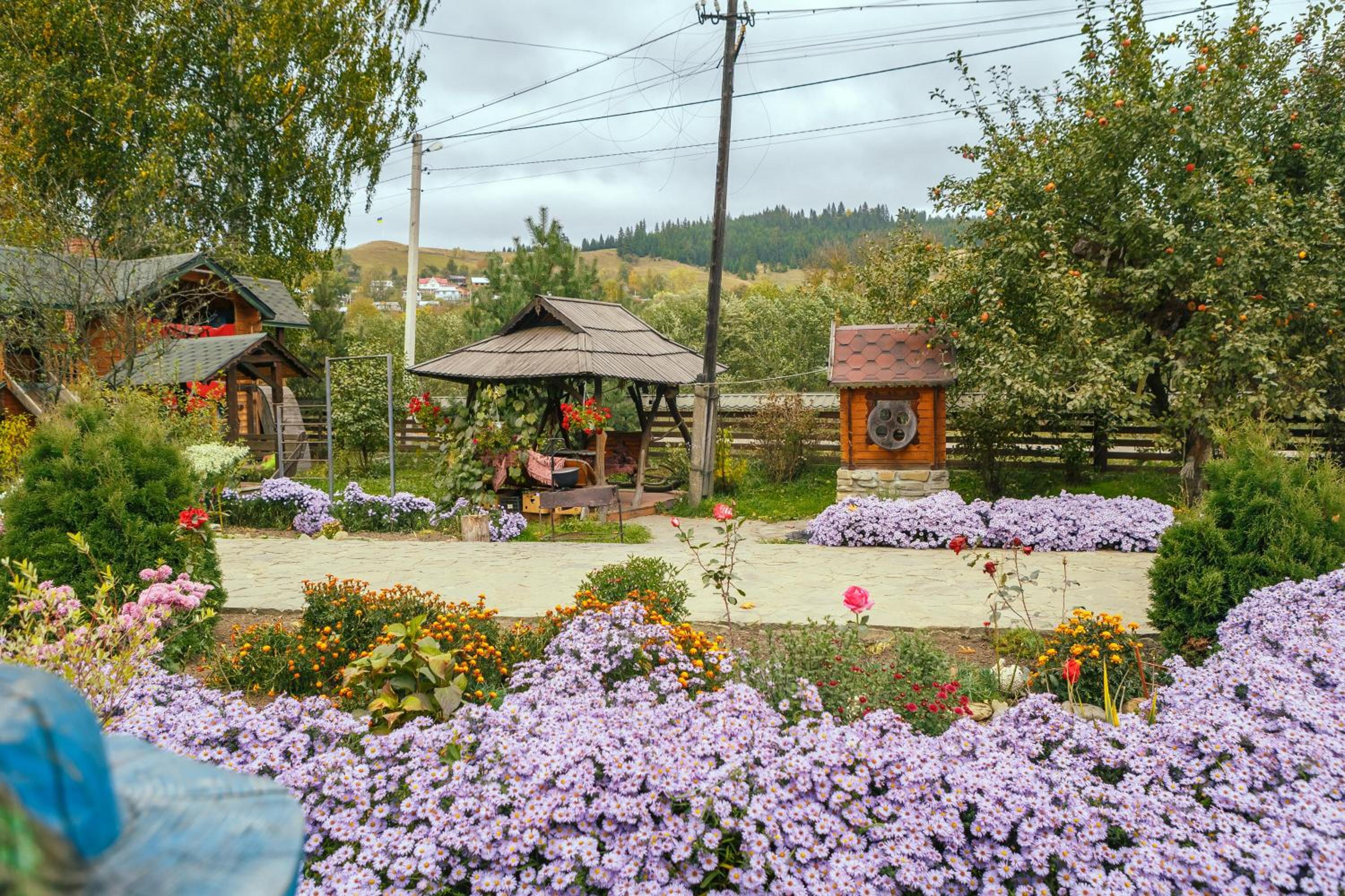 Photo 6