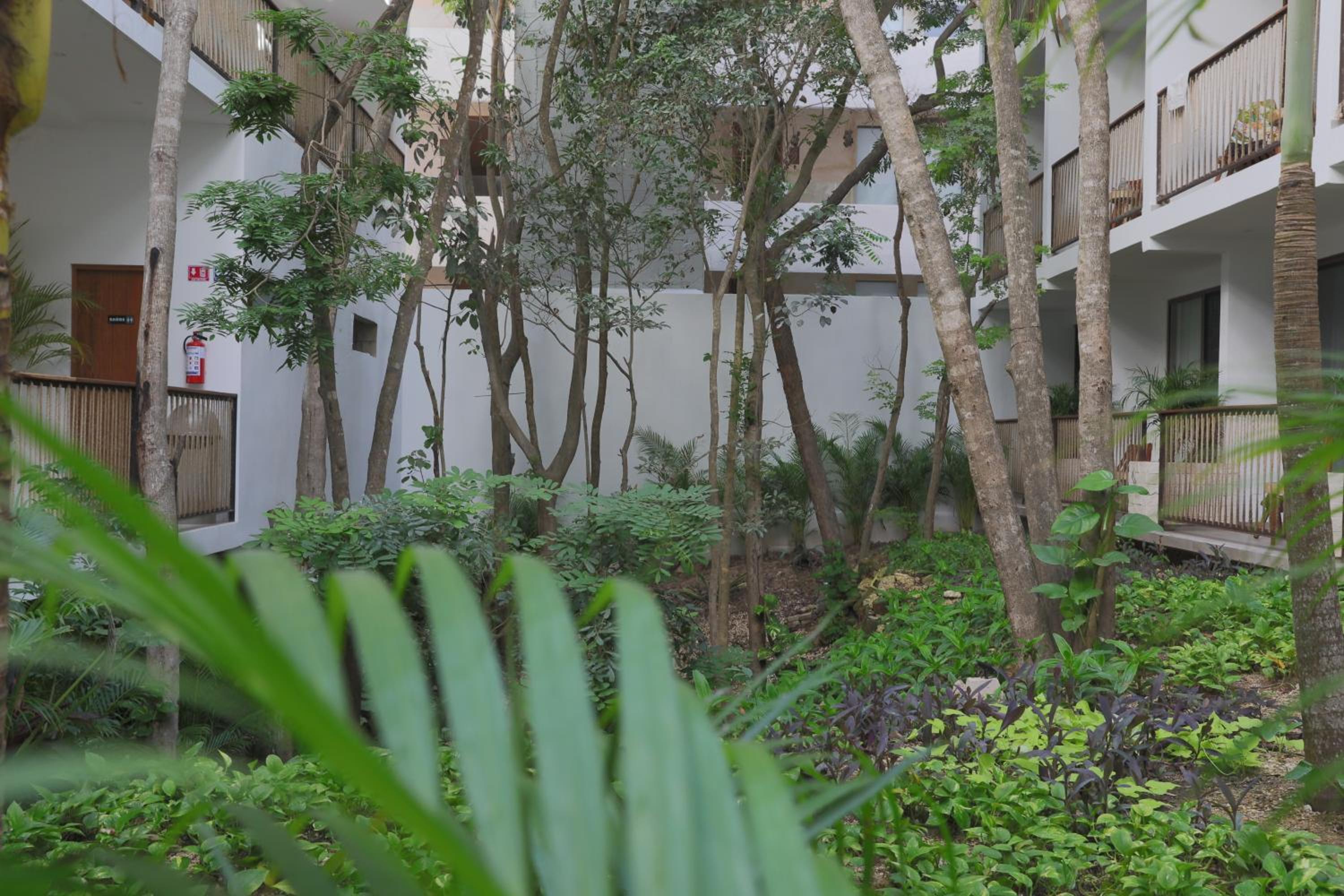 Hotel Blanco Tulum - Property Image 60