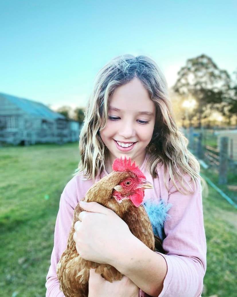 Straw House Farm - STANTHORPE