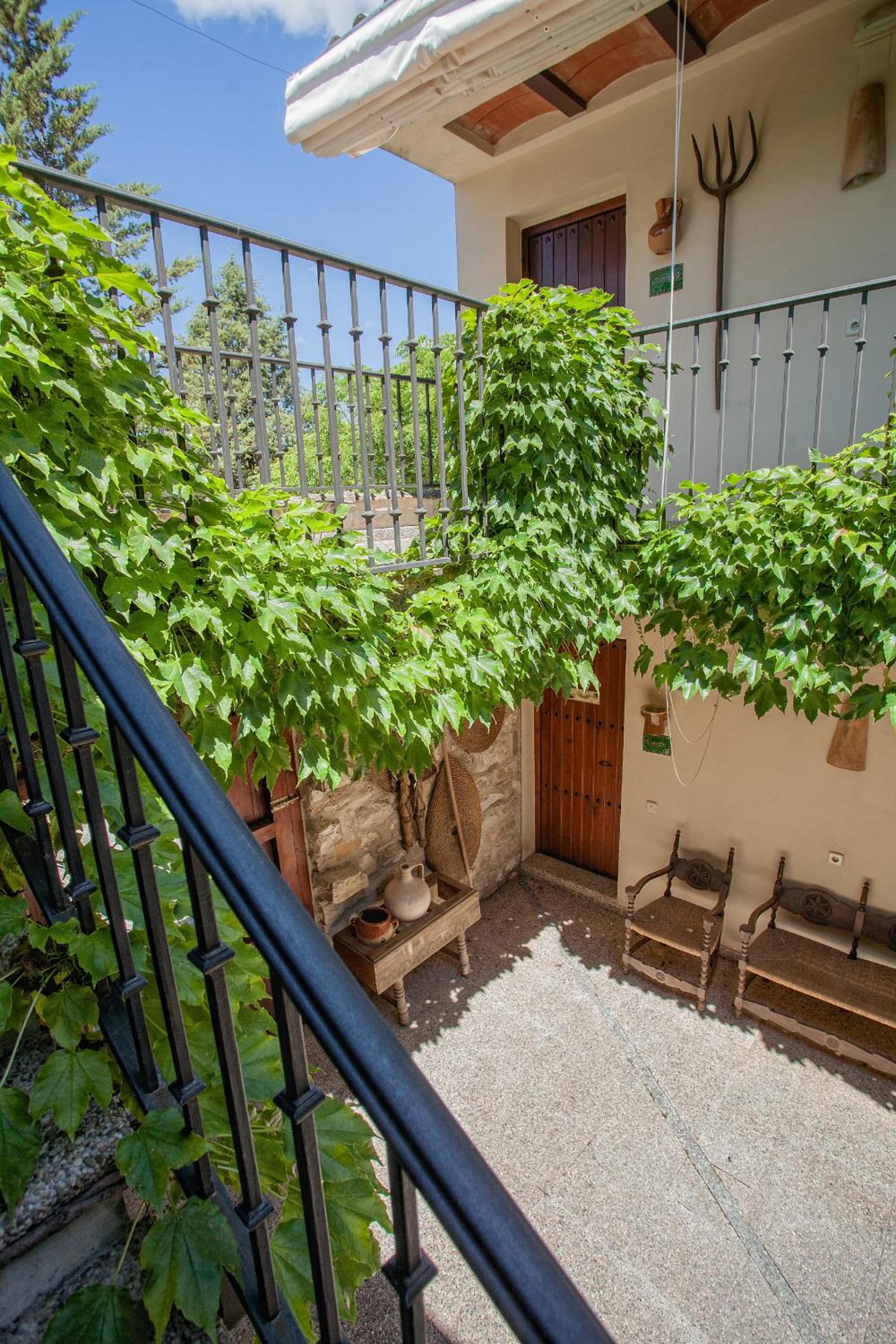 Photo 23