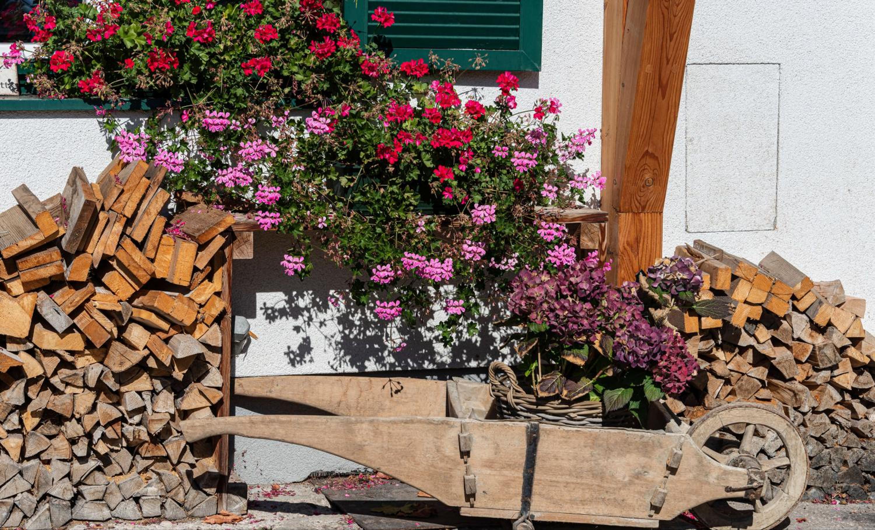 Ferienwohnung Flora Altaussee - Your Austrian Home
