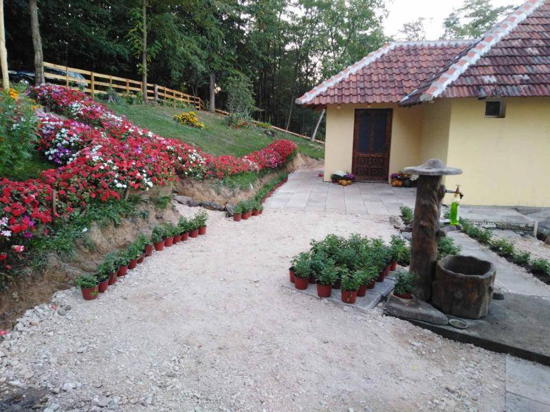 Photo 17