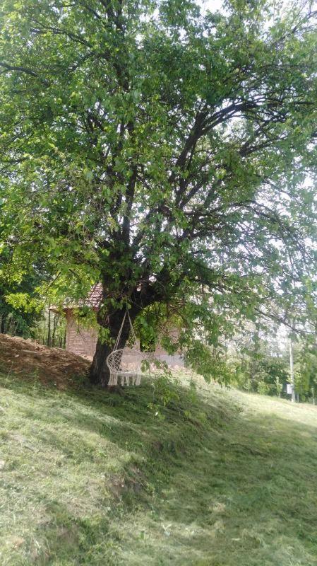 Photo 30