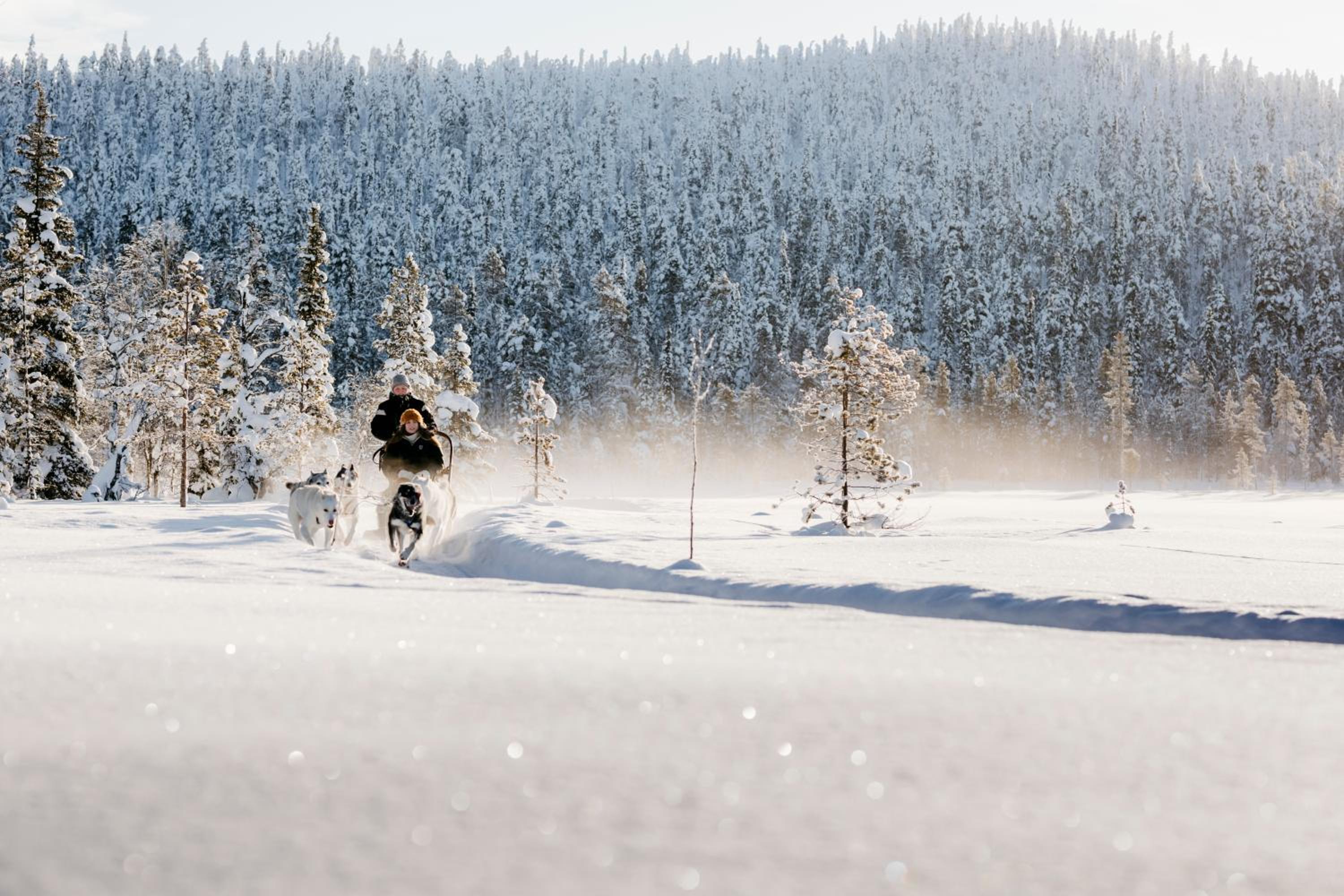 Lapland Hotels Ounasvaara Chalets