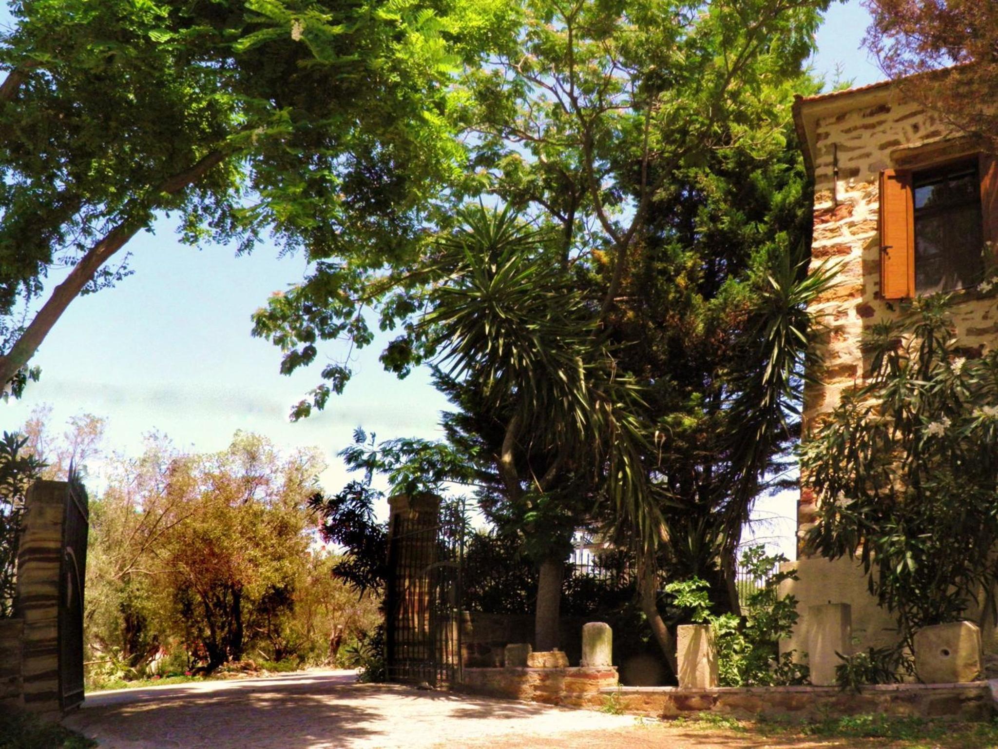 Photo 16