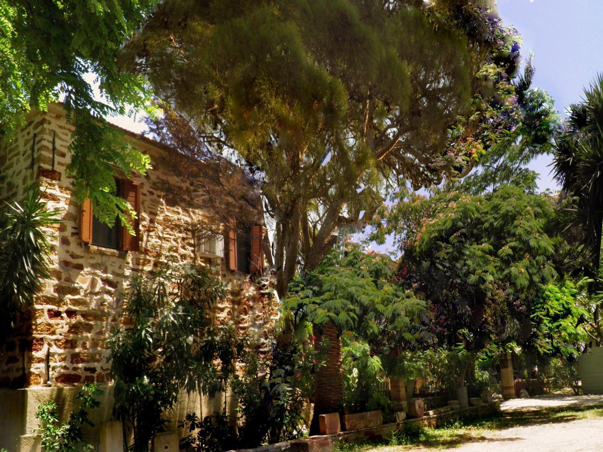 Photo 15