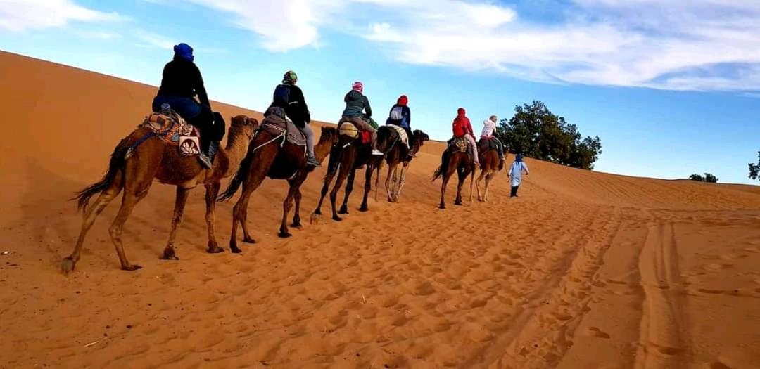Desert Camel Trek - Image 2