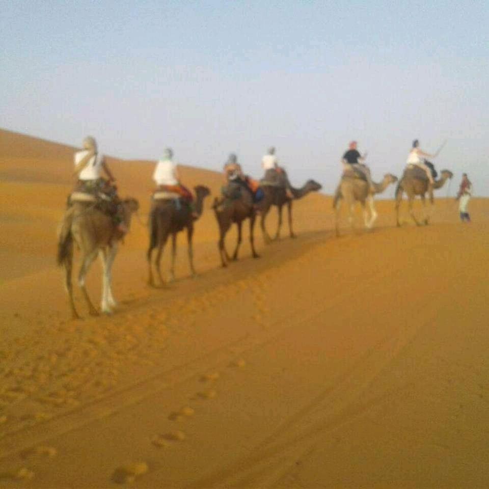 Desert Camel Trek - Image 3
