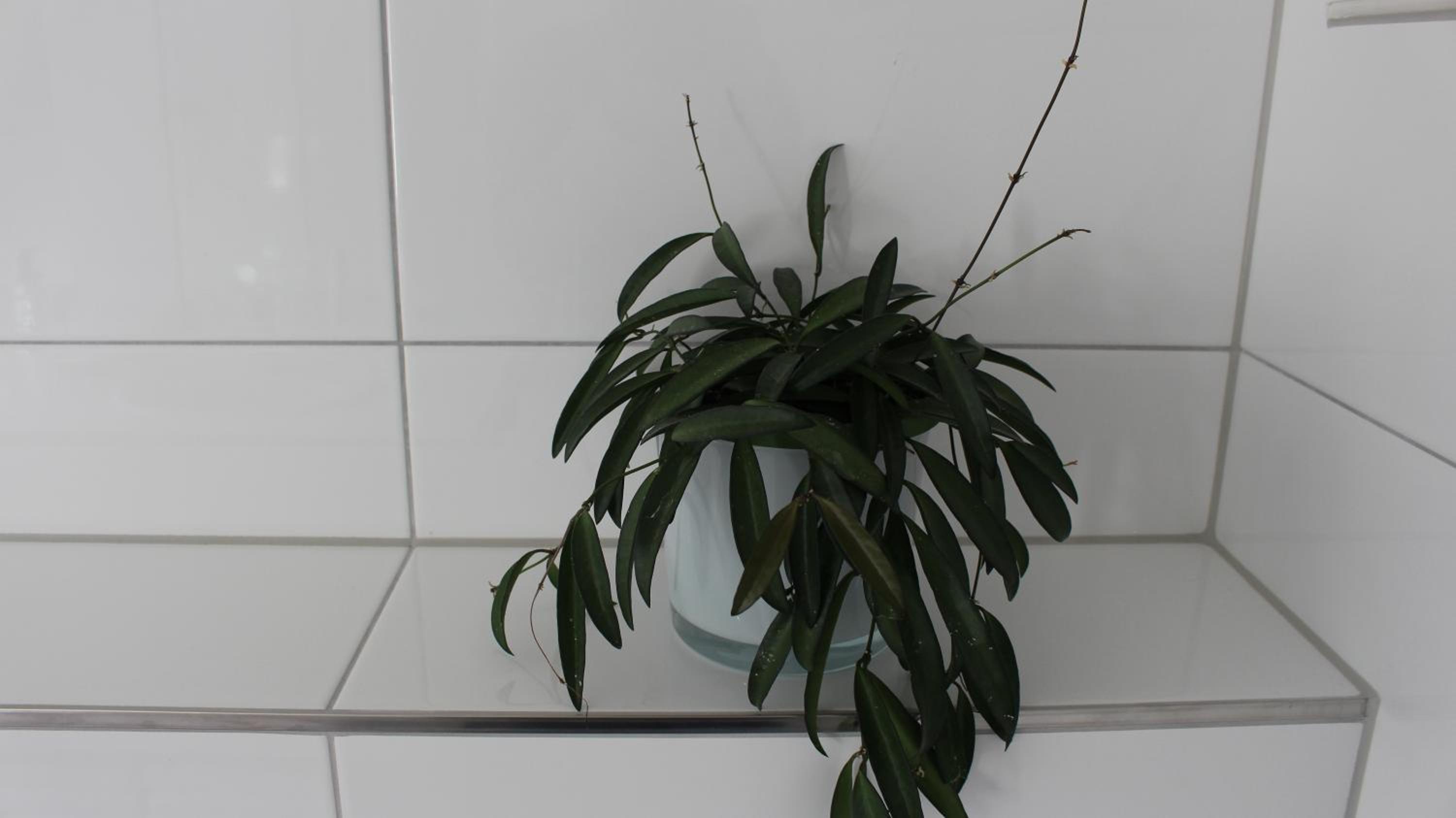 Appartement Maria