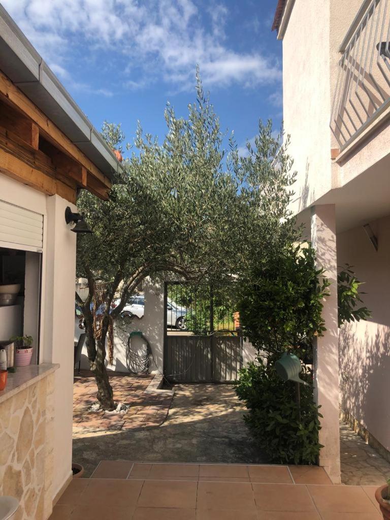 Casa Zorana-Alba Apartments view 5