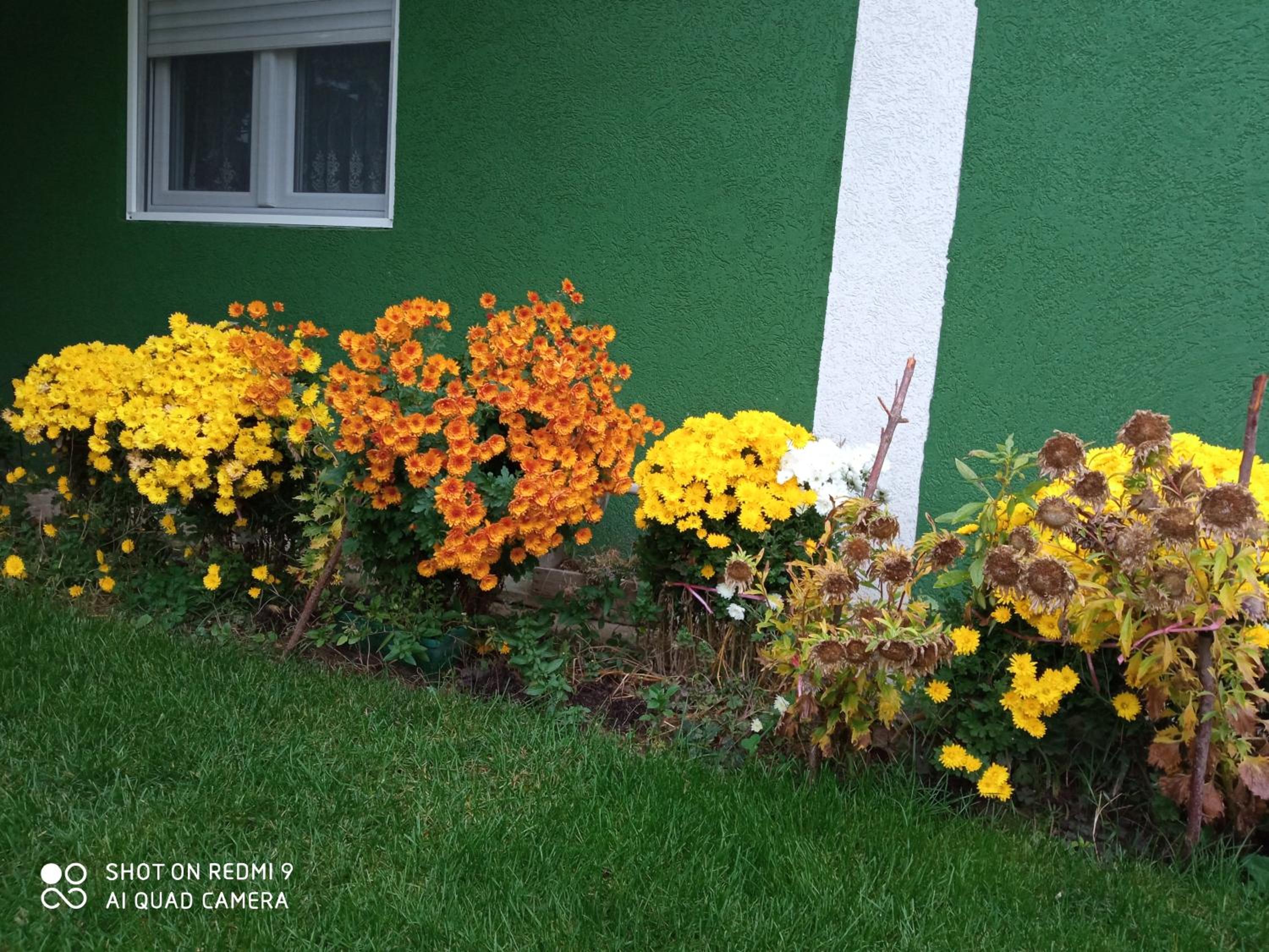 Photo 228