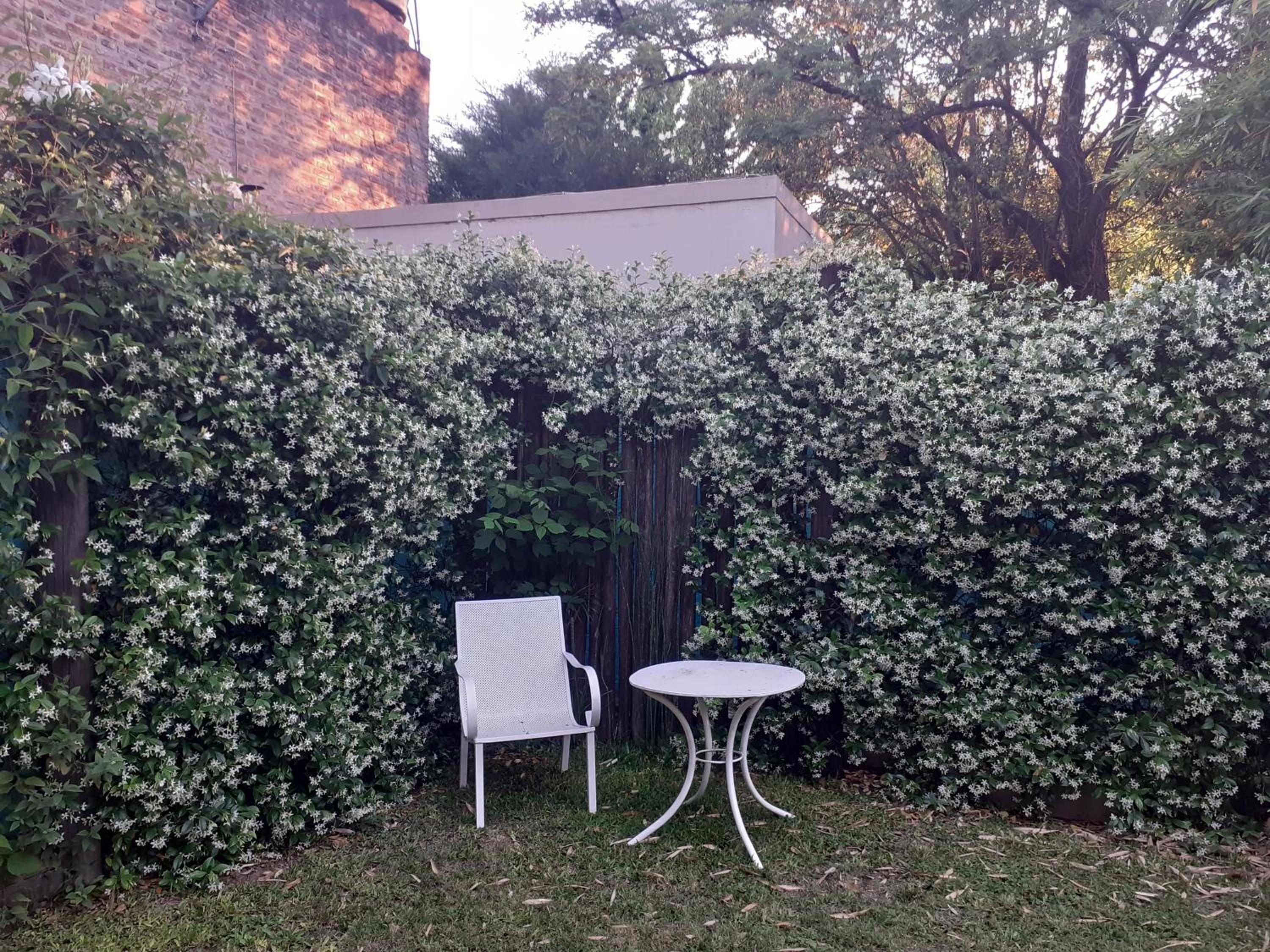 PARQUE LELOIR, ITUZAINGO