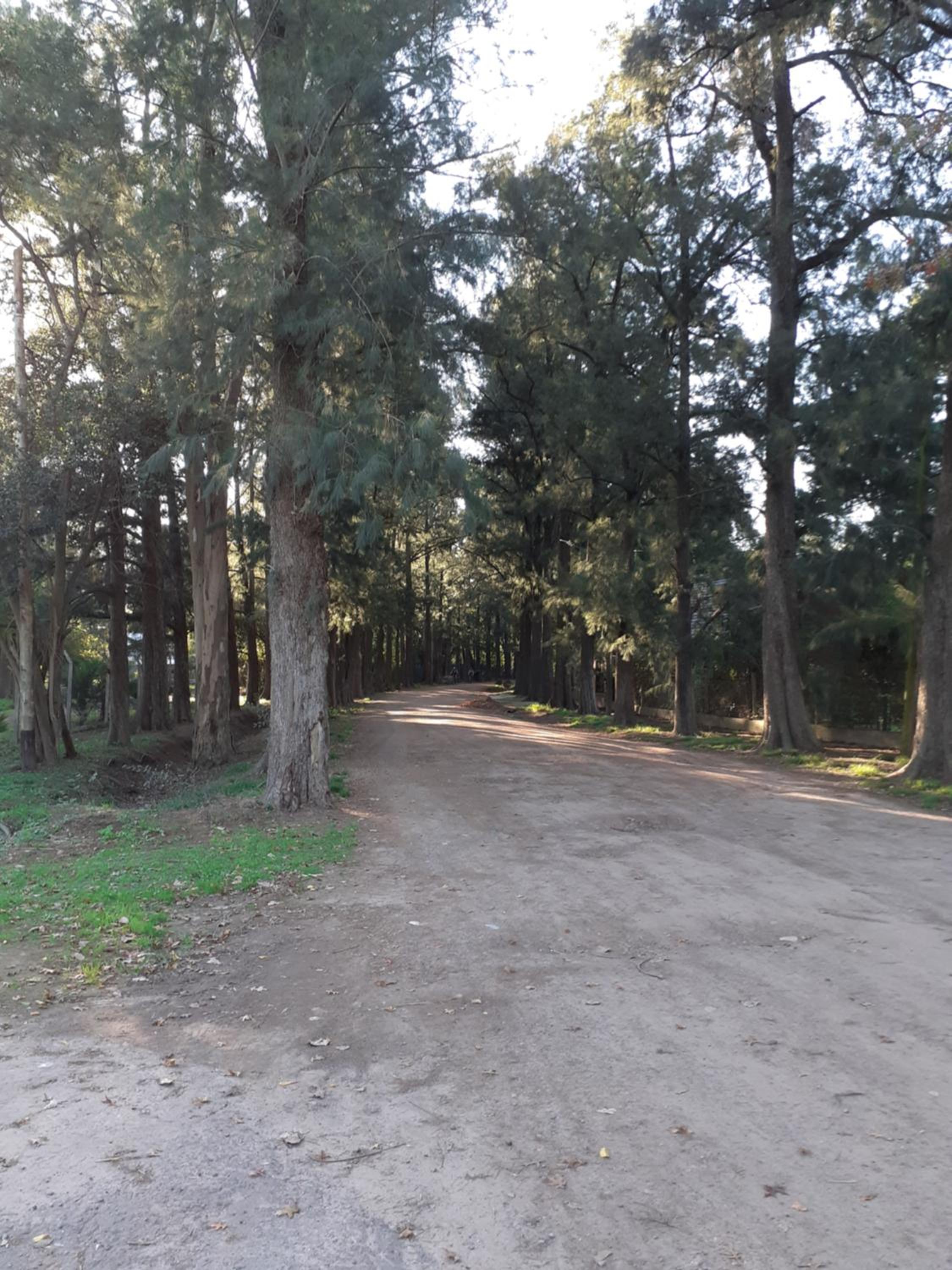 PARQUE LELOIR, ITUZAINGO