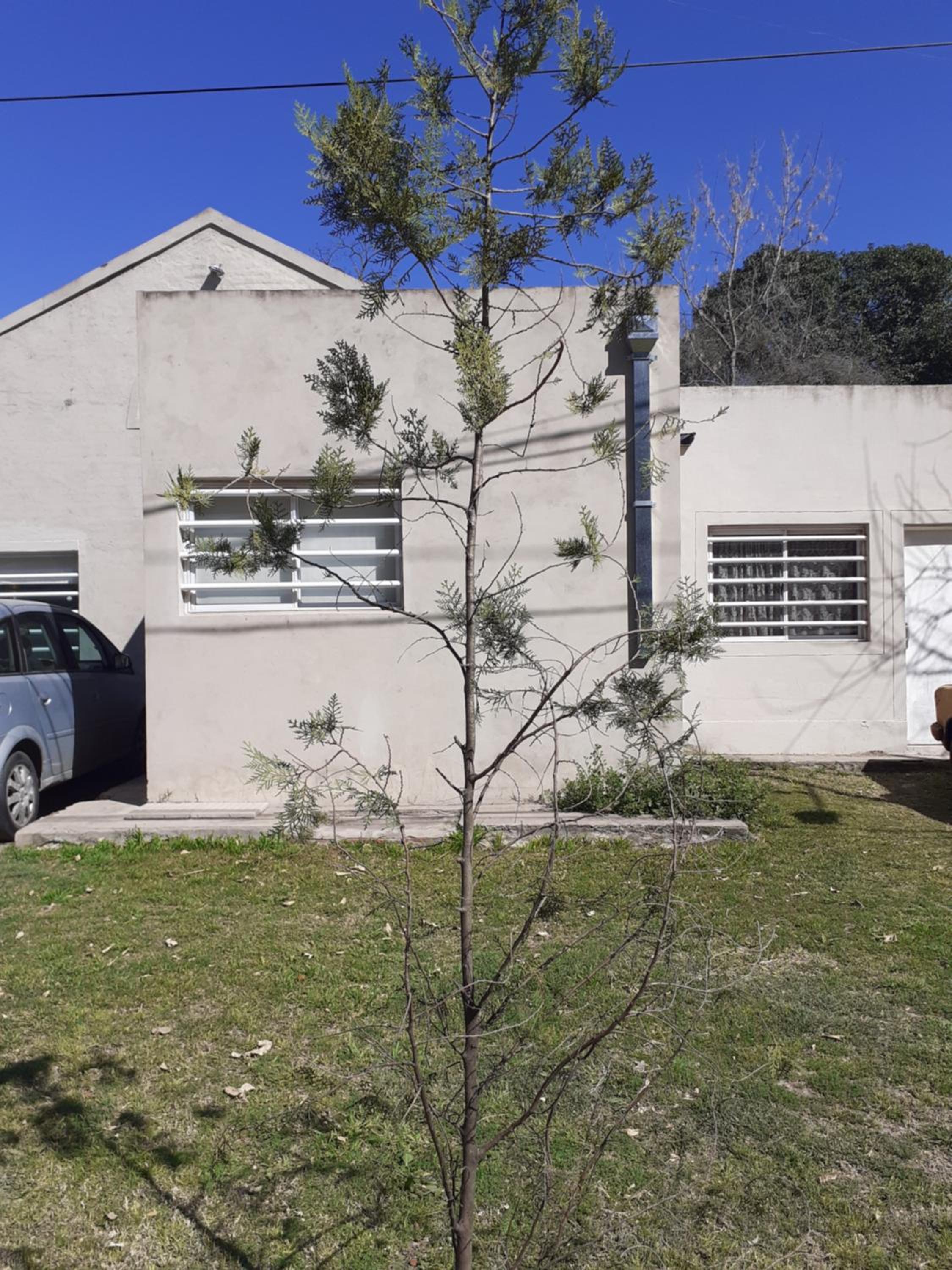PARQUE LELOIR, ITUZAINGO