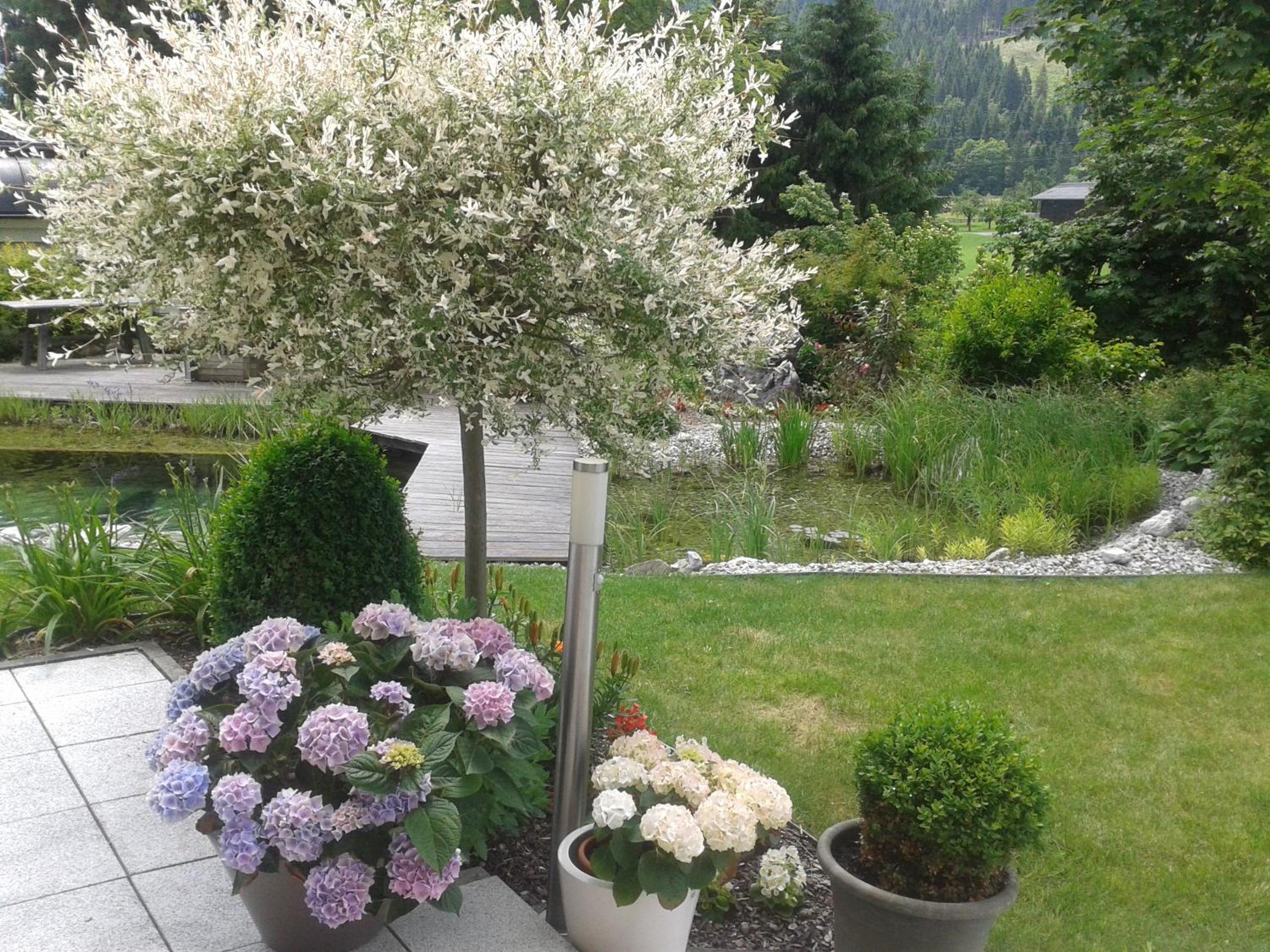 Haus am Hammerrain