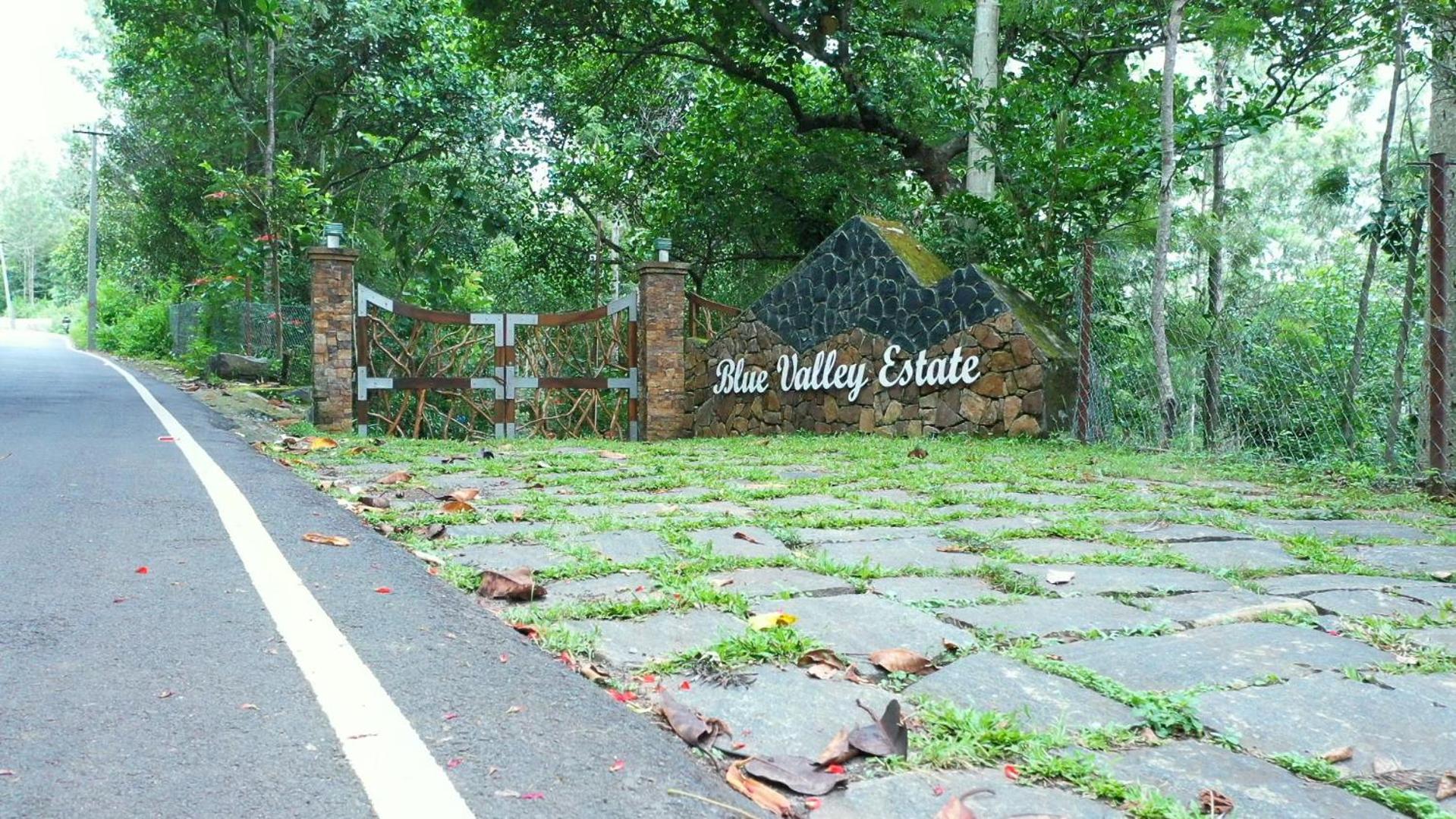 Blue Valley Estate-Mountain View Villa view 4
